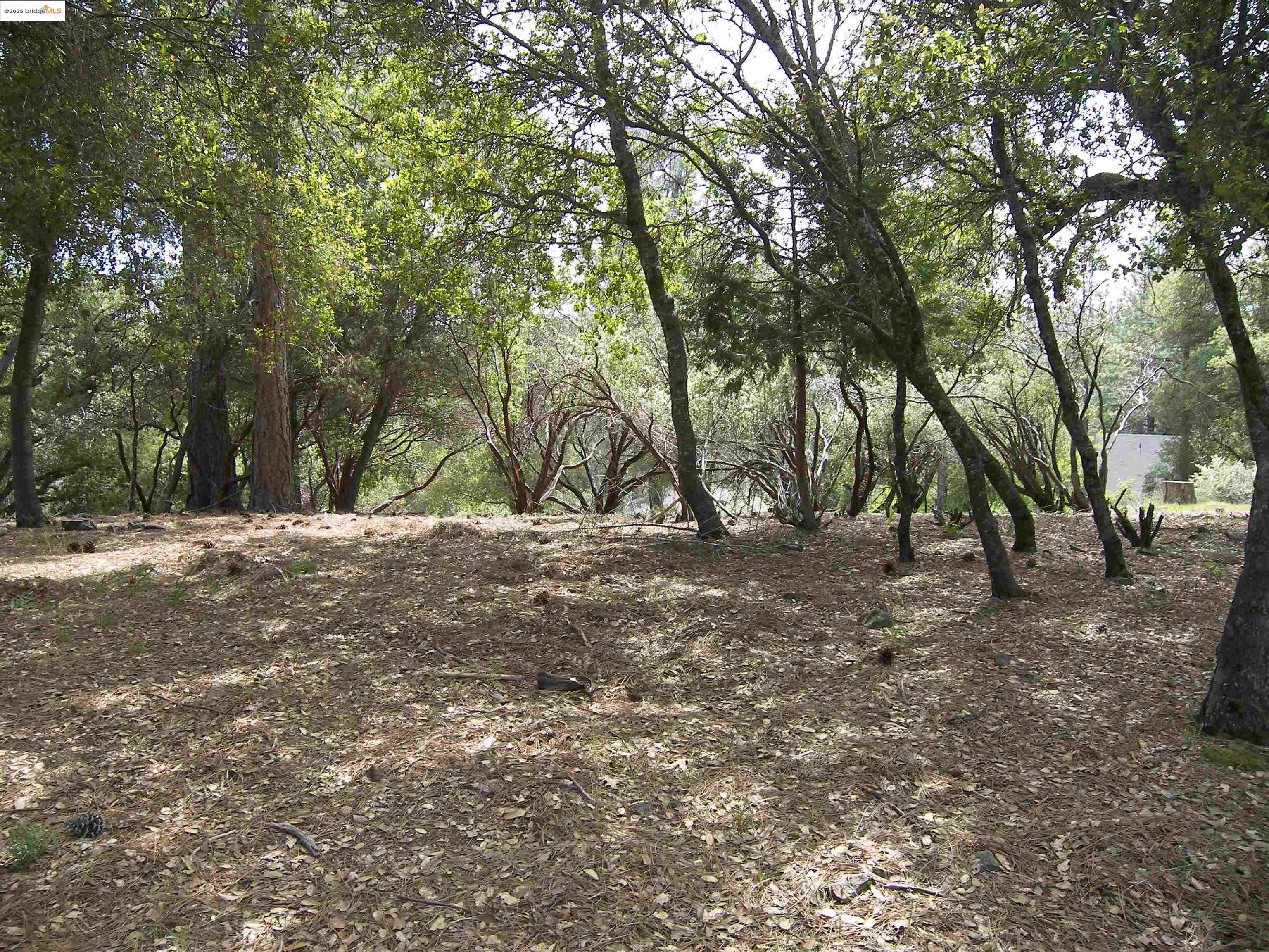 Detail Gallery Image 13 of 32 For Point View Dr., Groveland,  CA 95321 - – Beds | – Baths