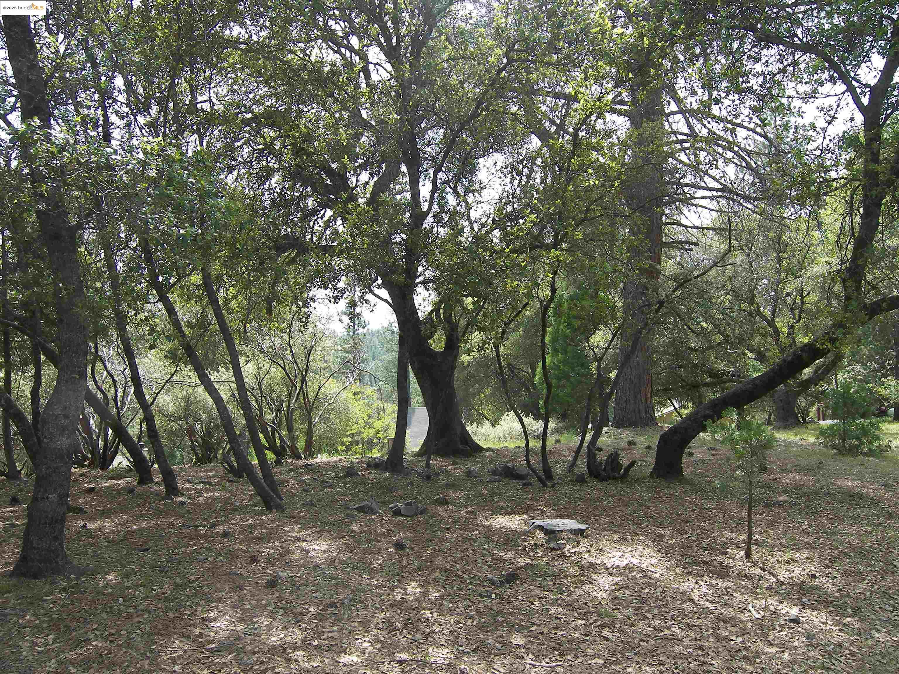 Detail Gallery Image 15 of 32 For Point View Dr., Groveland,  CA 95321 - – Beds | – Baths