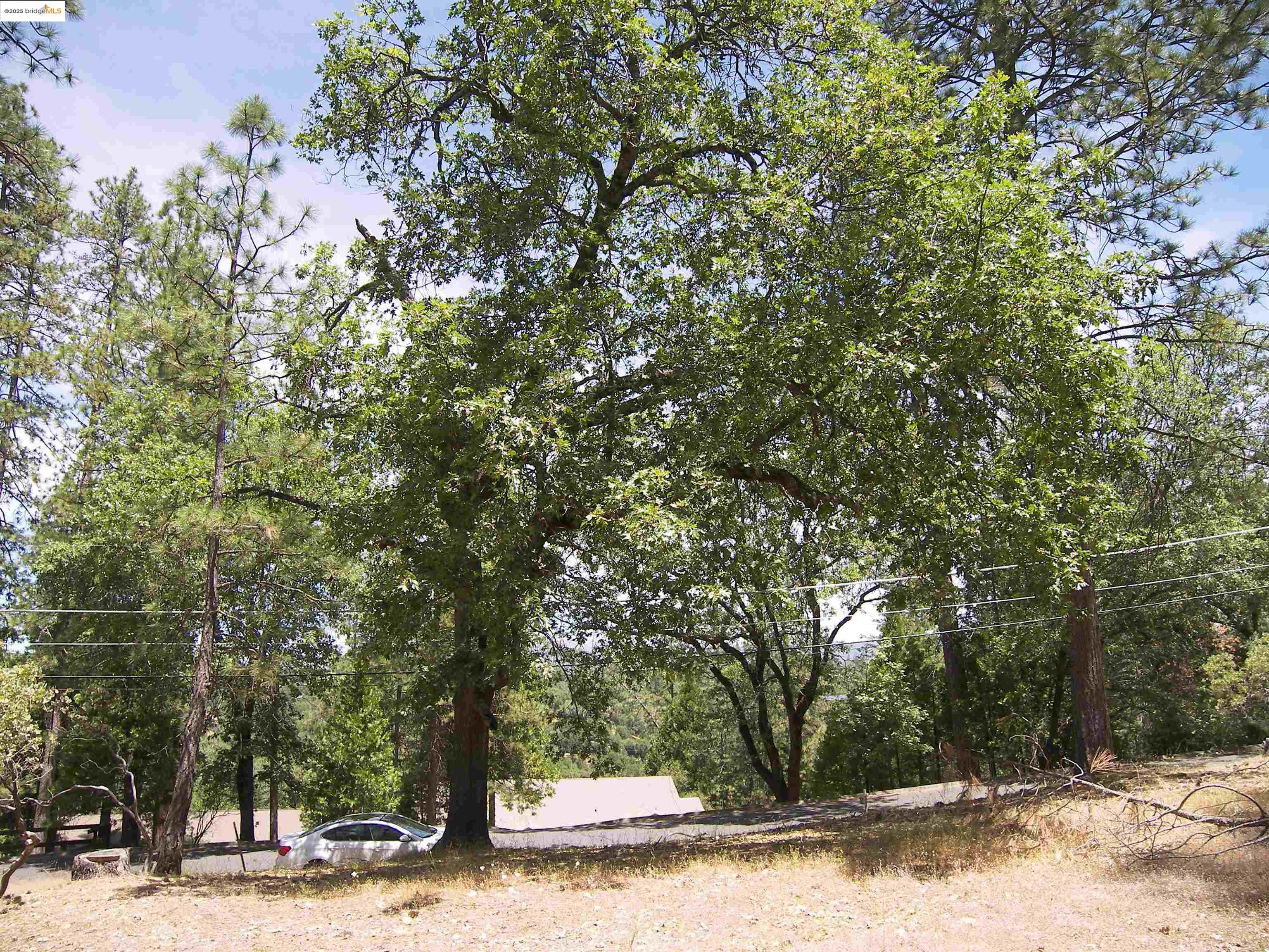 Detail Gallery Image 18 of 32 For Point View Dr., Groveland,  CA 95321 - – Beds | – Baths