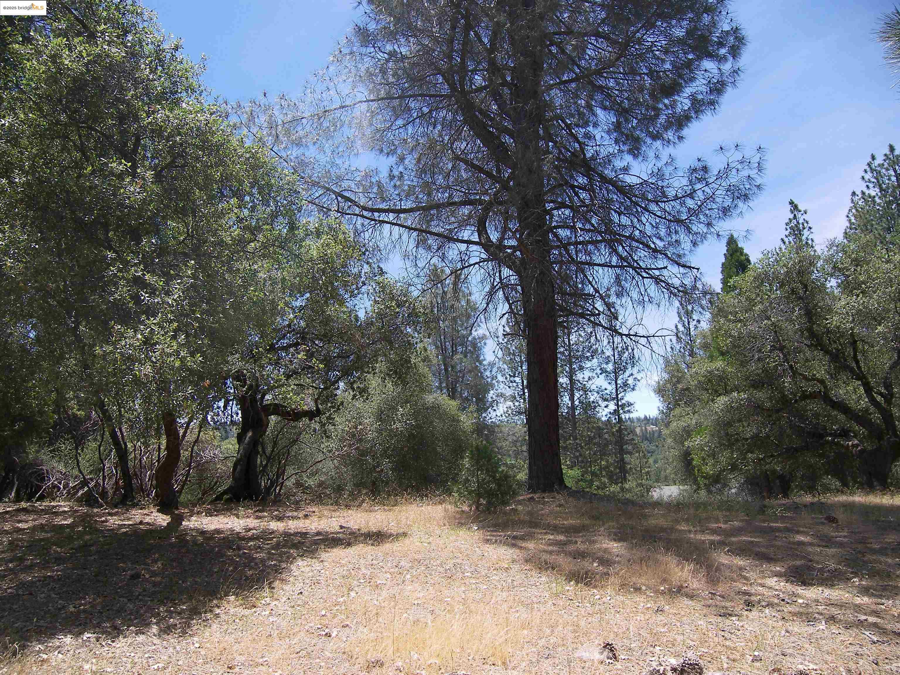Detail Gallery Image 8 of 32 For Point View Dr., Groveland,  CA 95321 - – Beds | – Baths