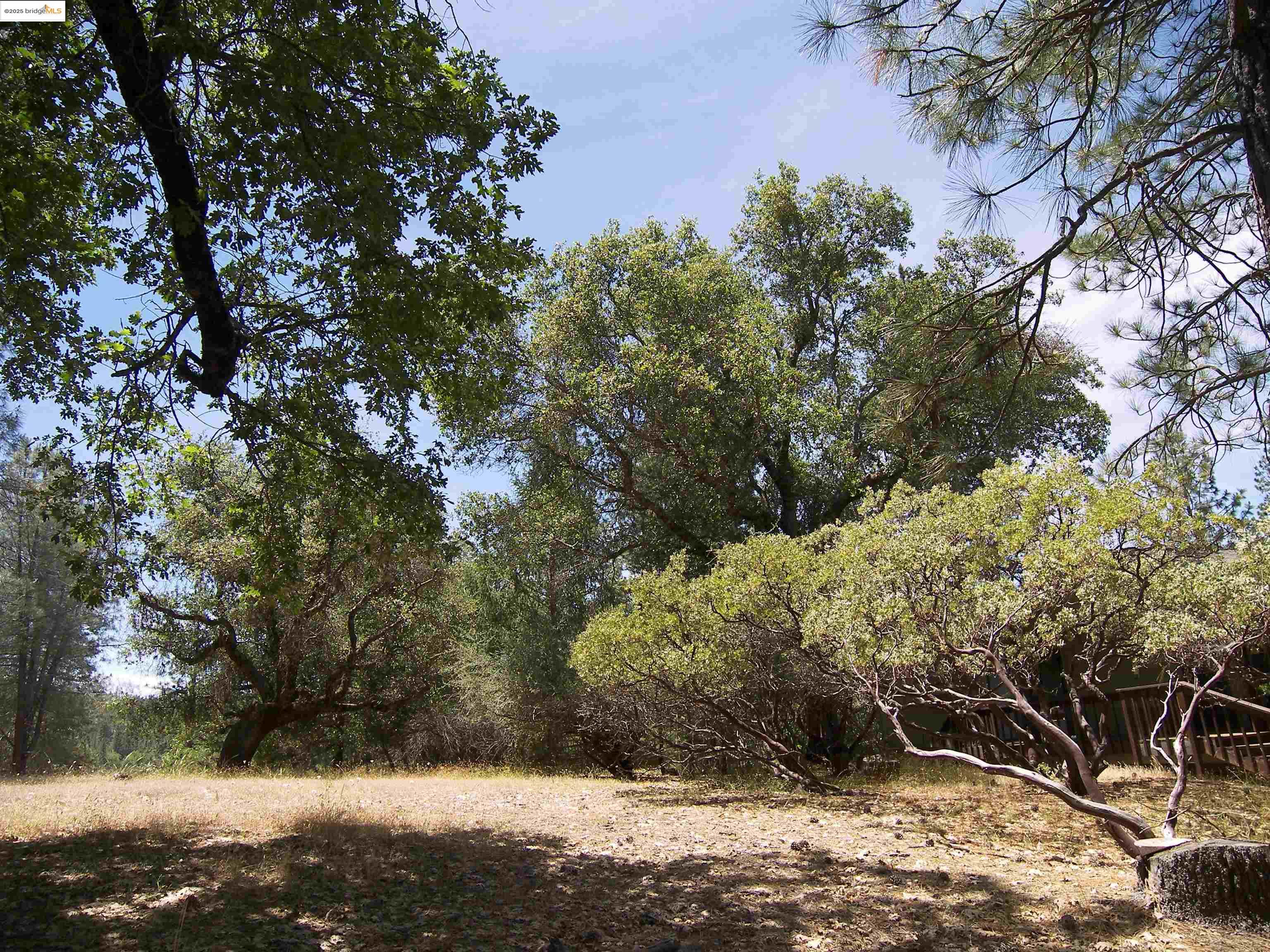 Detail Gallery Image 9 of 32 For Point View Dr., Groveland,  CA 95321 - – Beds | – Baths