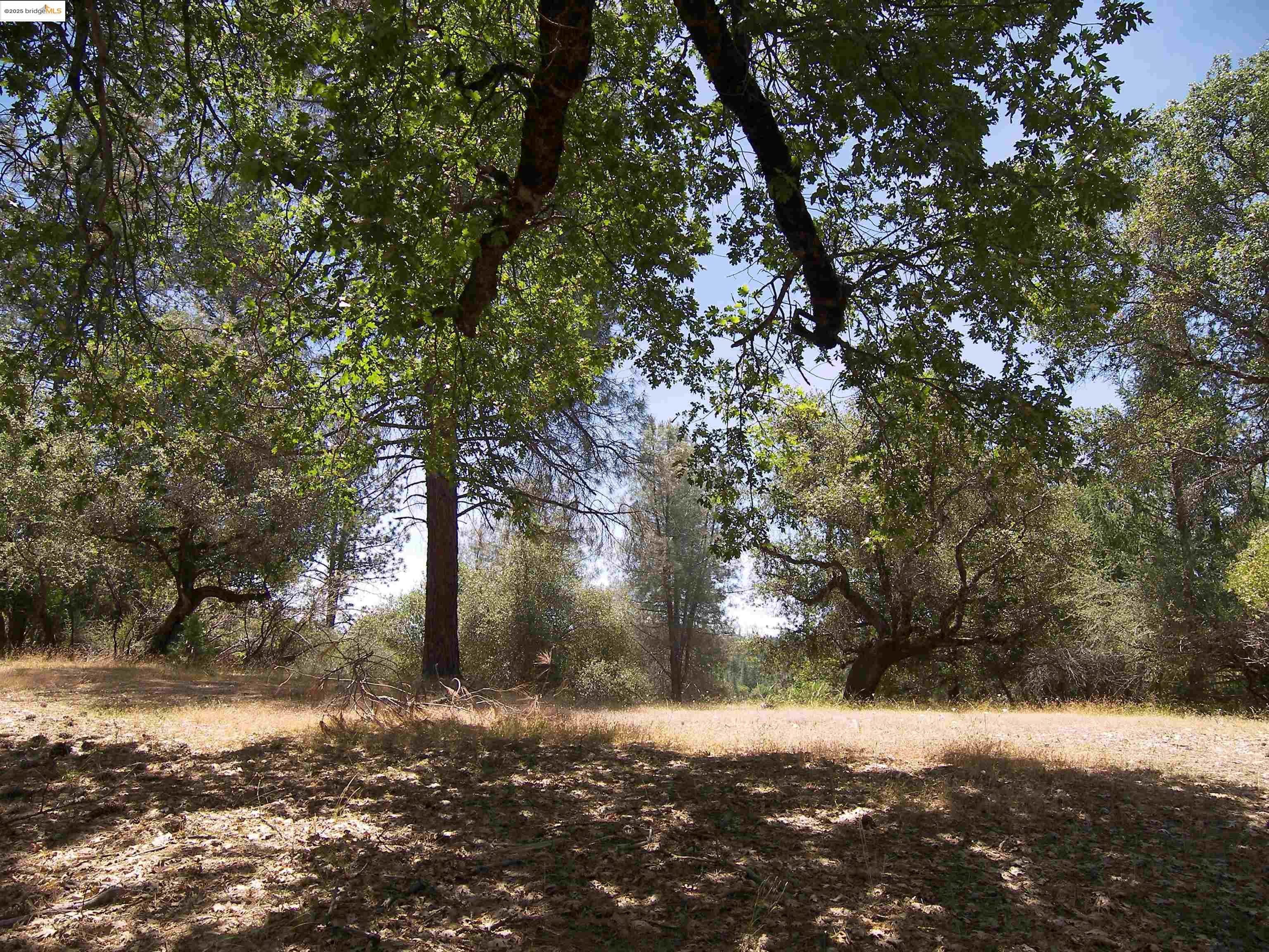 Detail Gallery Image 10 of 32 For Point View Dr., Groveland,  CA 95321 - – Beds | – Baths