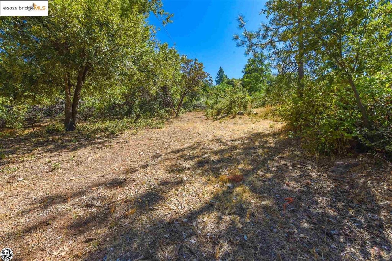 Detail Gallery Image 40 of 53 For 22440 Gunsight Rd, Sonora,  CA 95370-9351 - 2 Beds | 2 Baths