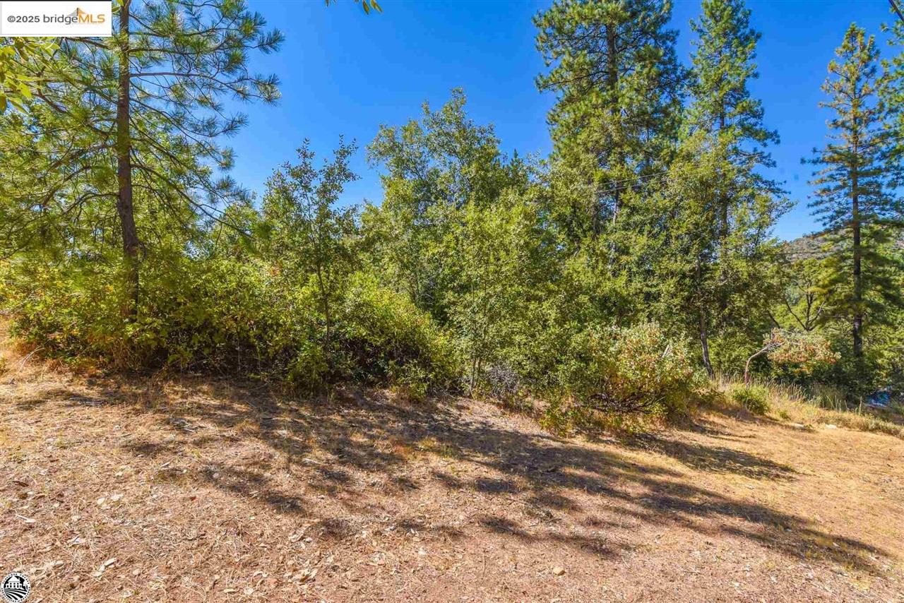 Detail Gallery Image 42 of 53 For 22440 Gunsight Rd, Sonora,  CA 95370-9351 - 2 Beds | 2 Baths