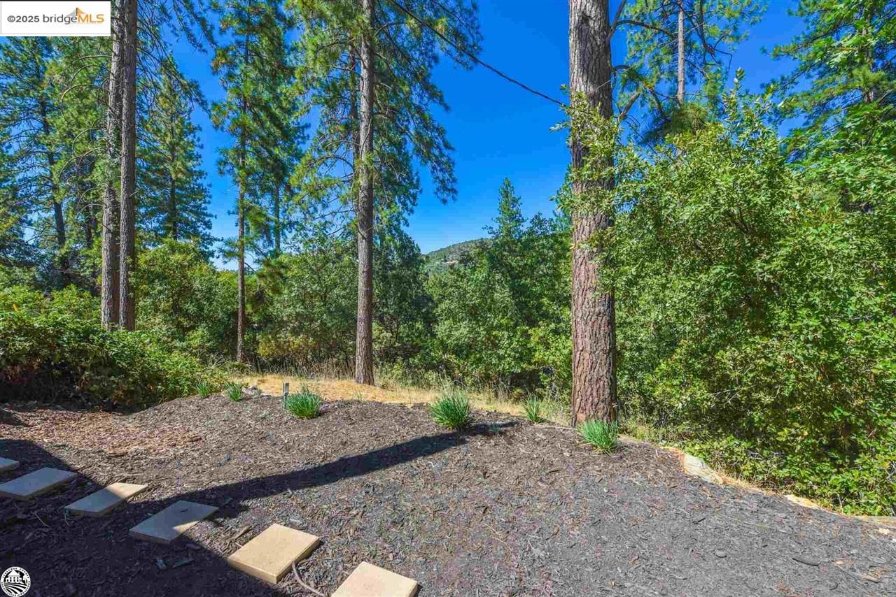 Detail Gallery Image 48 of 53 For 22440 Gunsight Rd, Sonora,  CA 95370-9351 - 2 Beds | 2 Baths