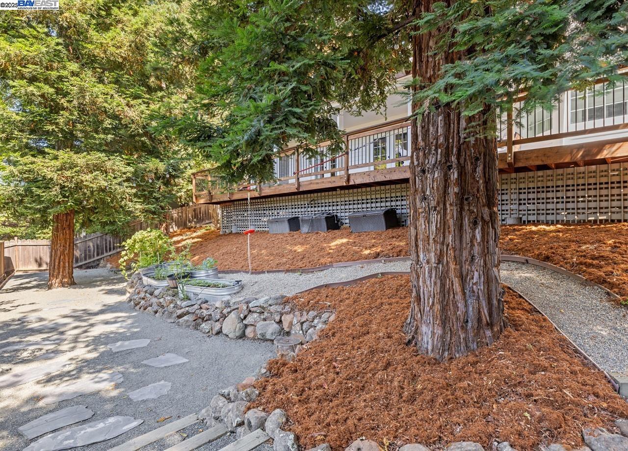 Detail Gallery Image 53 of 60 For 156 Del Monte Dr, Walnut Creek,  CA 94595 - 4 Beds | 4 Baths