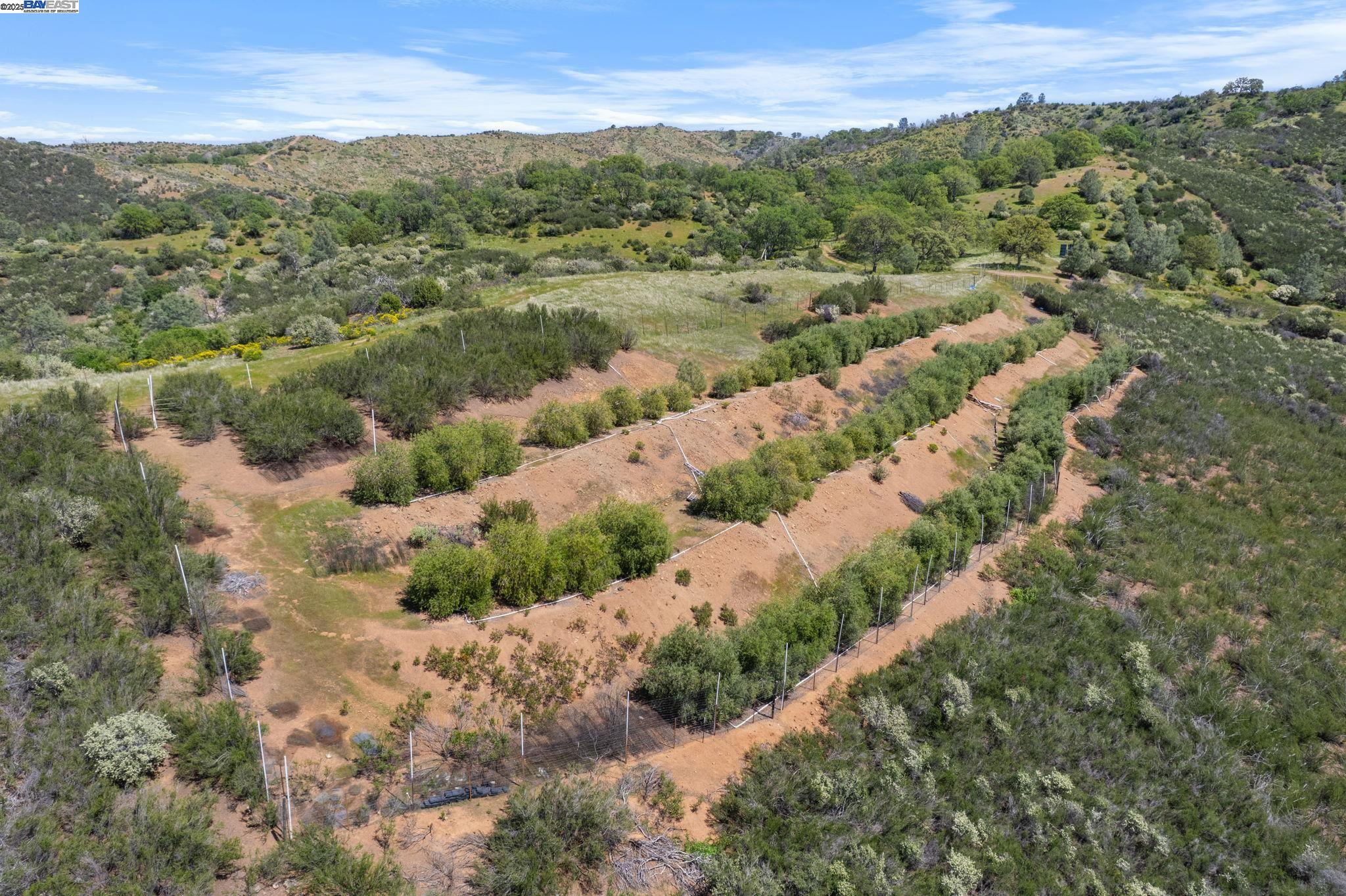 Detail Gallery Image 8 of 44 For 59480 Mines Rd, Livermore,  CA 95140 - 3 Beds | 2/1 Baths