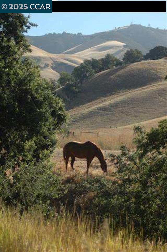 Detail Gallery Image 3 of 9 For 6909 Johnston Rd, Danville,  CA 94583 - – Beds | – Baths