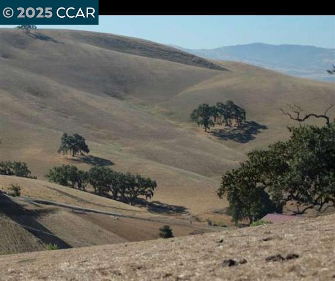 Detail Gallery Image 8 of 9 For 6909 Johnston Rd, Danville,  CA 94583 - – Beds | – Baths
