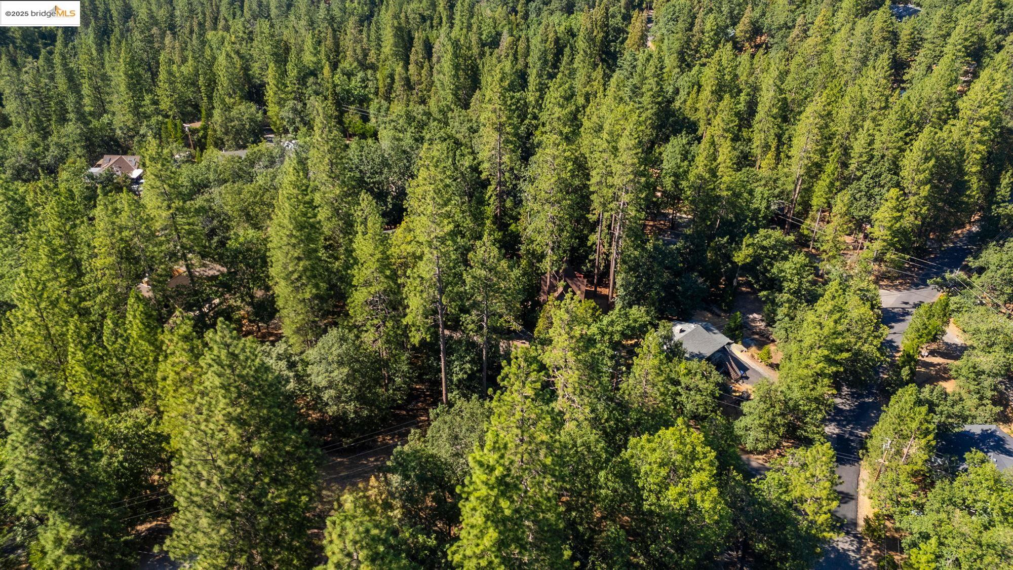 Detail Gallery Image 4 of 10 For 23983 Pack Trail Rd, Sonora,  CA 95370 - – Beds | – Baths
