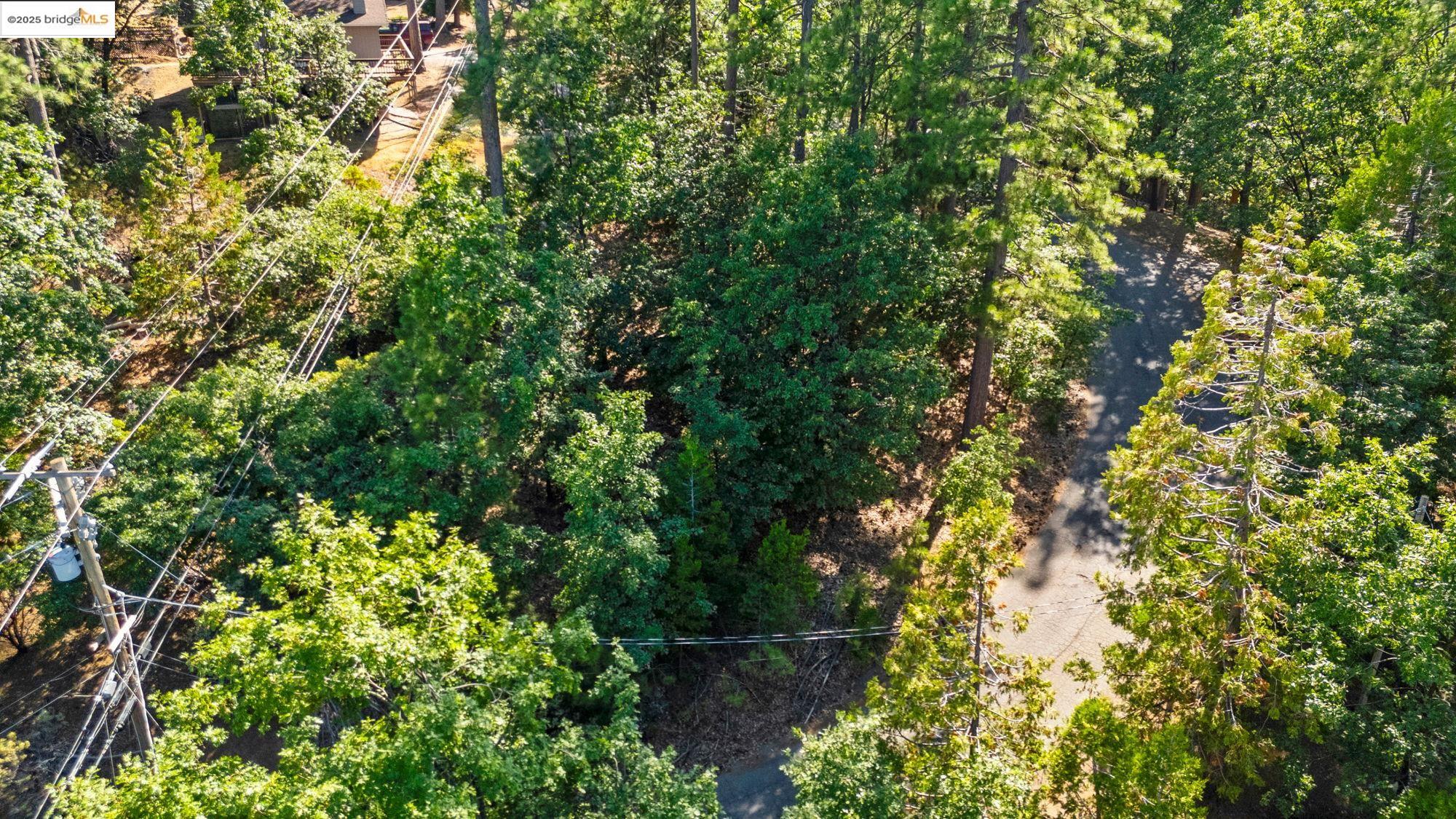 Detail Gallery Image 6 of 10 For 23983 Pack Trail Rd, Sonora,  CA 95370 - – Beds | – Baths