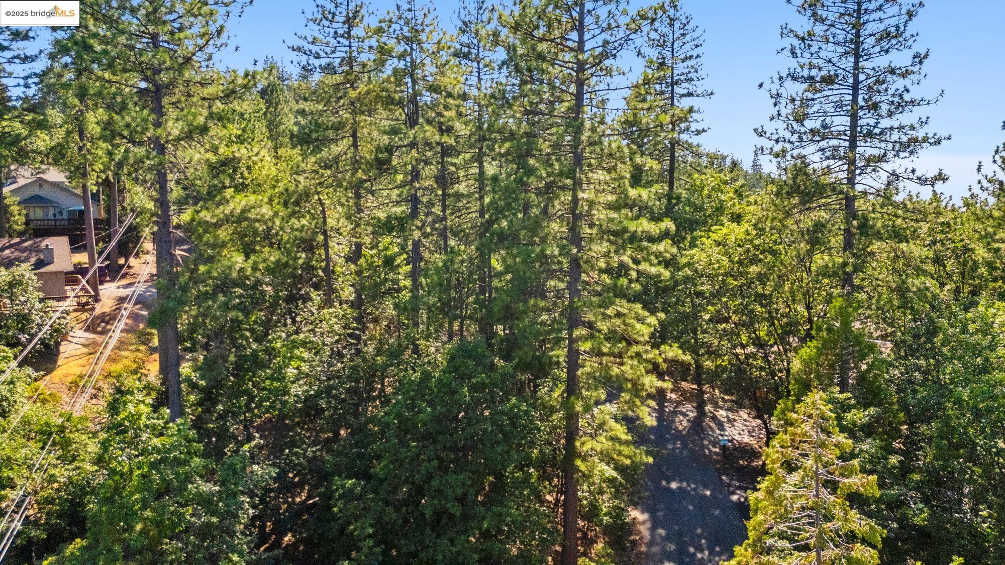Detail Gallery Image 7 of 10 For 23983 Pack Trail Rd, Sonora,  CA 95370 - – Beds | – Baths