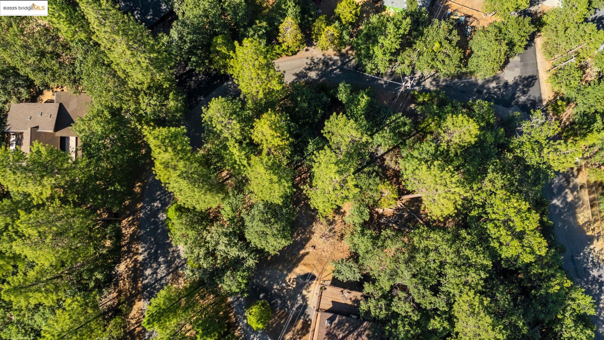 Detail Gallery Image 10 of 10 For 23983 Pack Trail Rd, Sonora,  CA 95370 - – Beds | – Baths