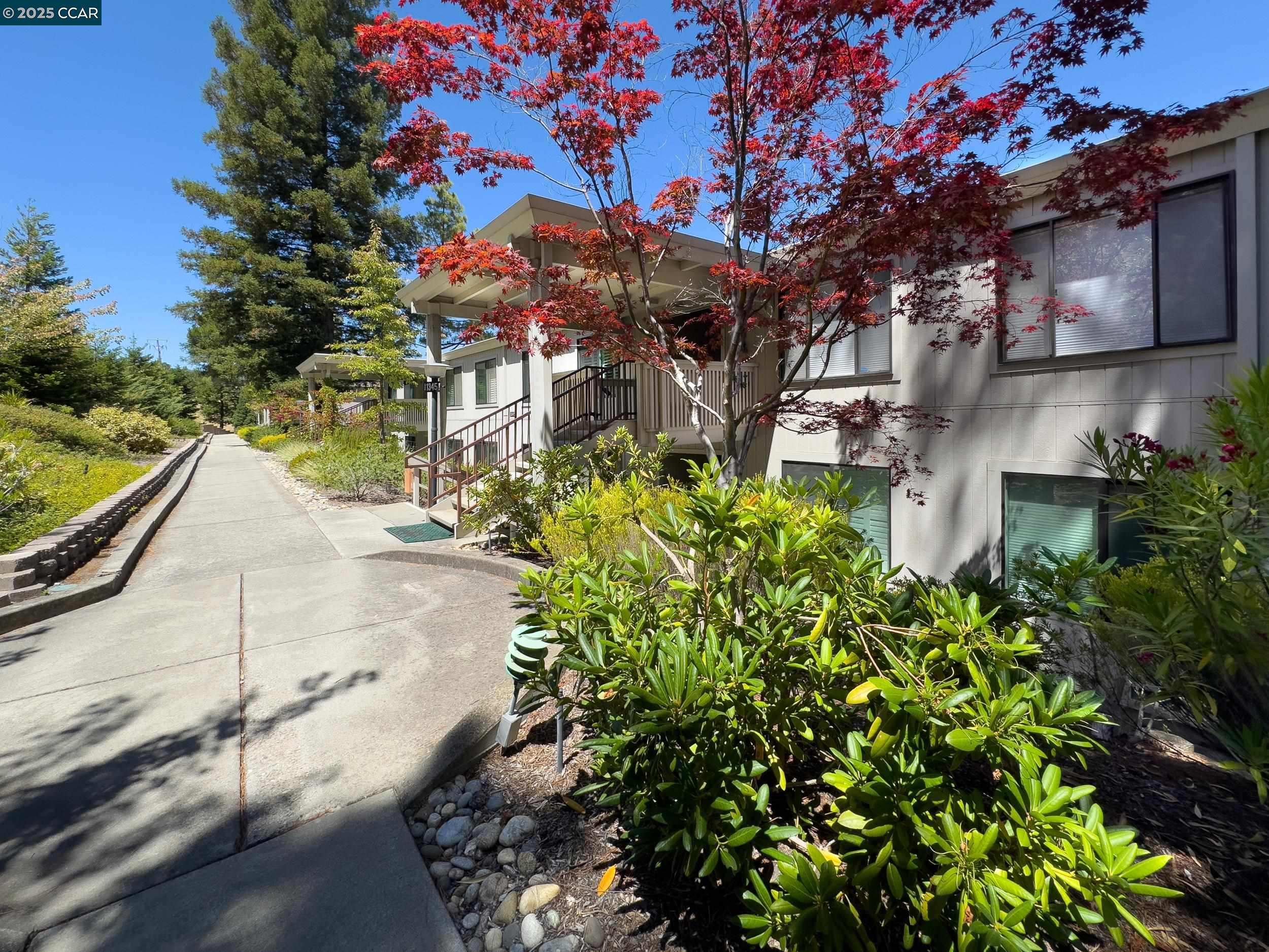 Photo #31: 41105144 Listing: Photo #31