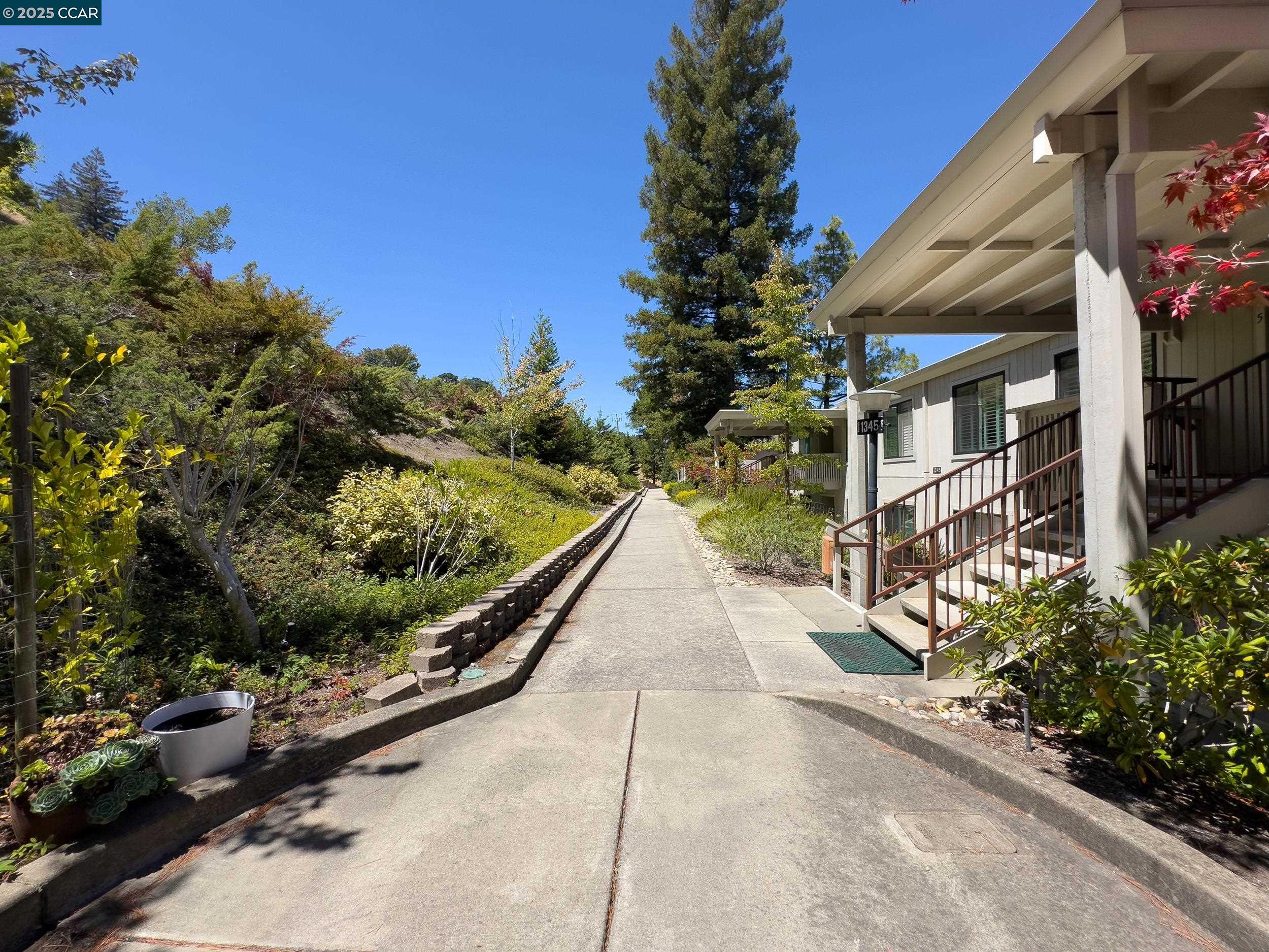 Photo #32: 41105144 Listing: Photo #32
