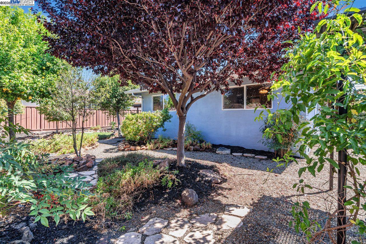 41819 Mahoney St, Fremont, California 94538, 3 Bedrooms Bedrooms, 6 Rooms Rooms,2 BathroomsBathrooms,Residential,For Sale,41819 Mahoney St,41105149