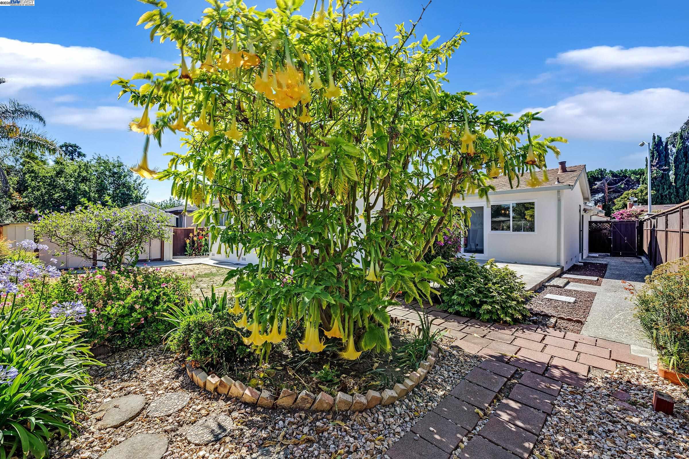 Detail Gallery Image 31 of 51 For 1942 Sherman Dr, Union City,  CA 94587 - 3 Beds | 2 Baths