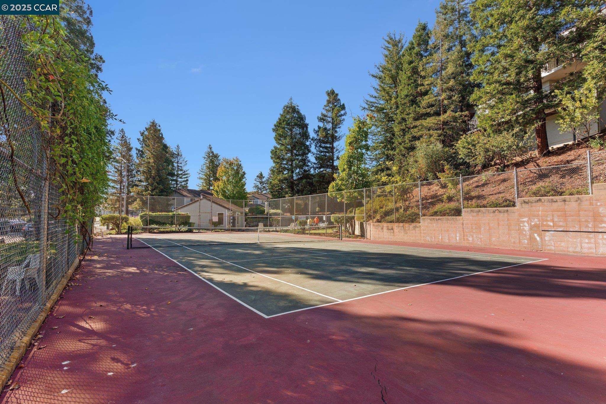 Photo #38: 41105159 Listing: Photo #38