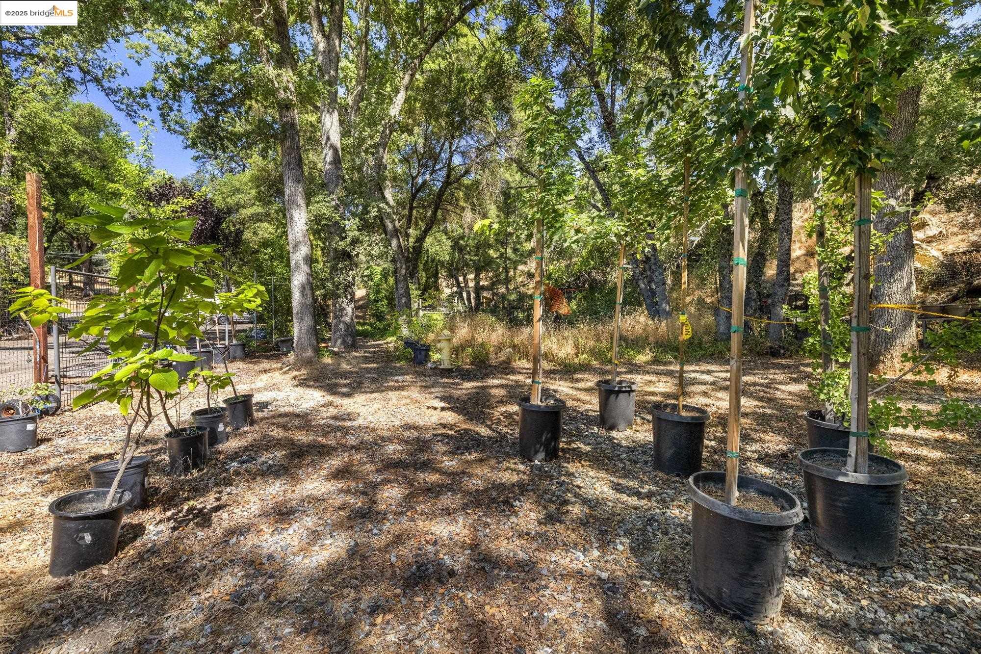 Detail Gallery Image 14 of 52 For , Groveland,  CA 95321 - – Beds | – Baths
