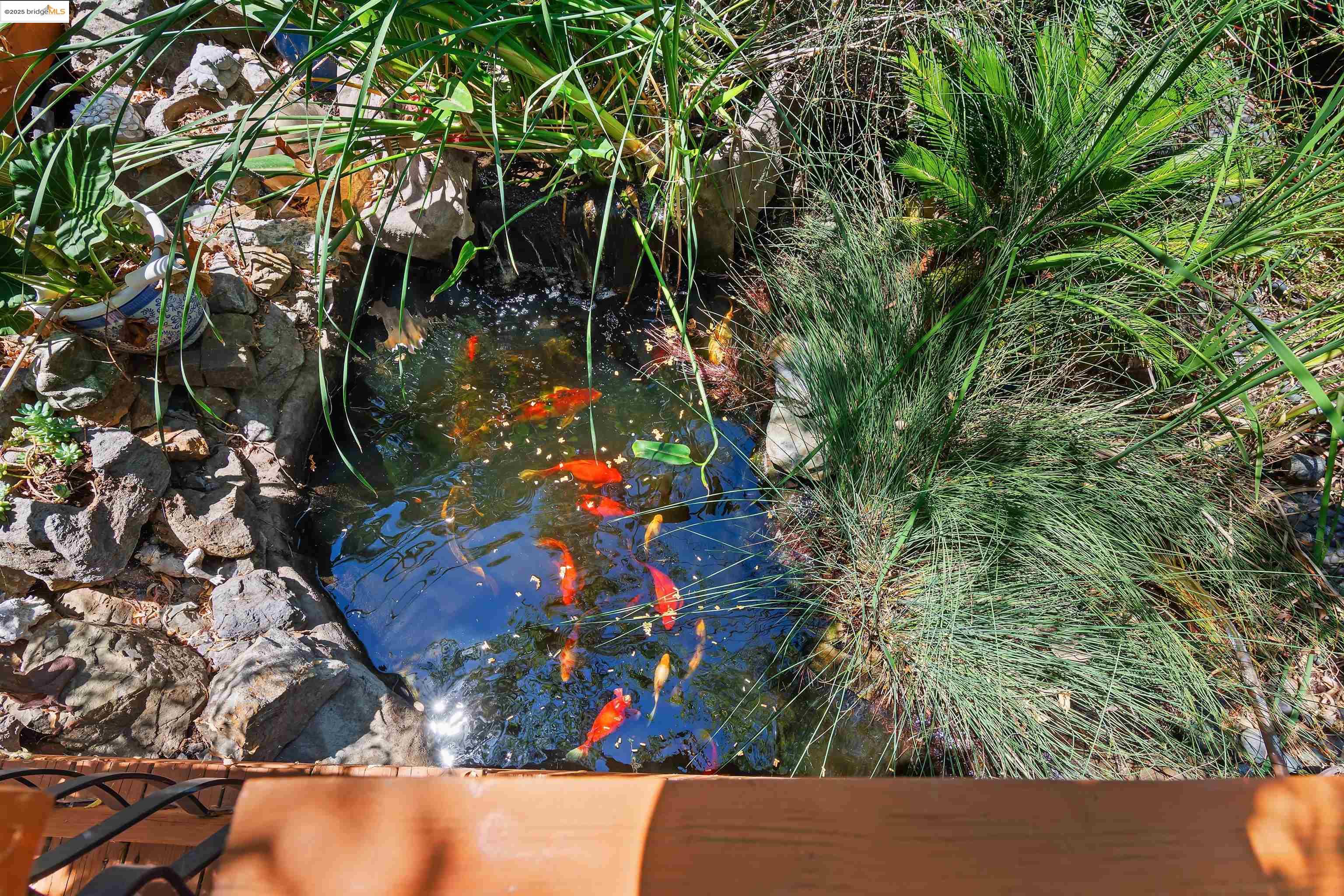 Detail Gallery Image 52 of 60 For 1196 Holsapple Way, Brentwood,  CA 94513 - 4 Beds | 3/1 Baths