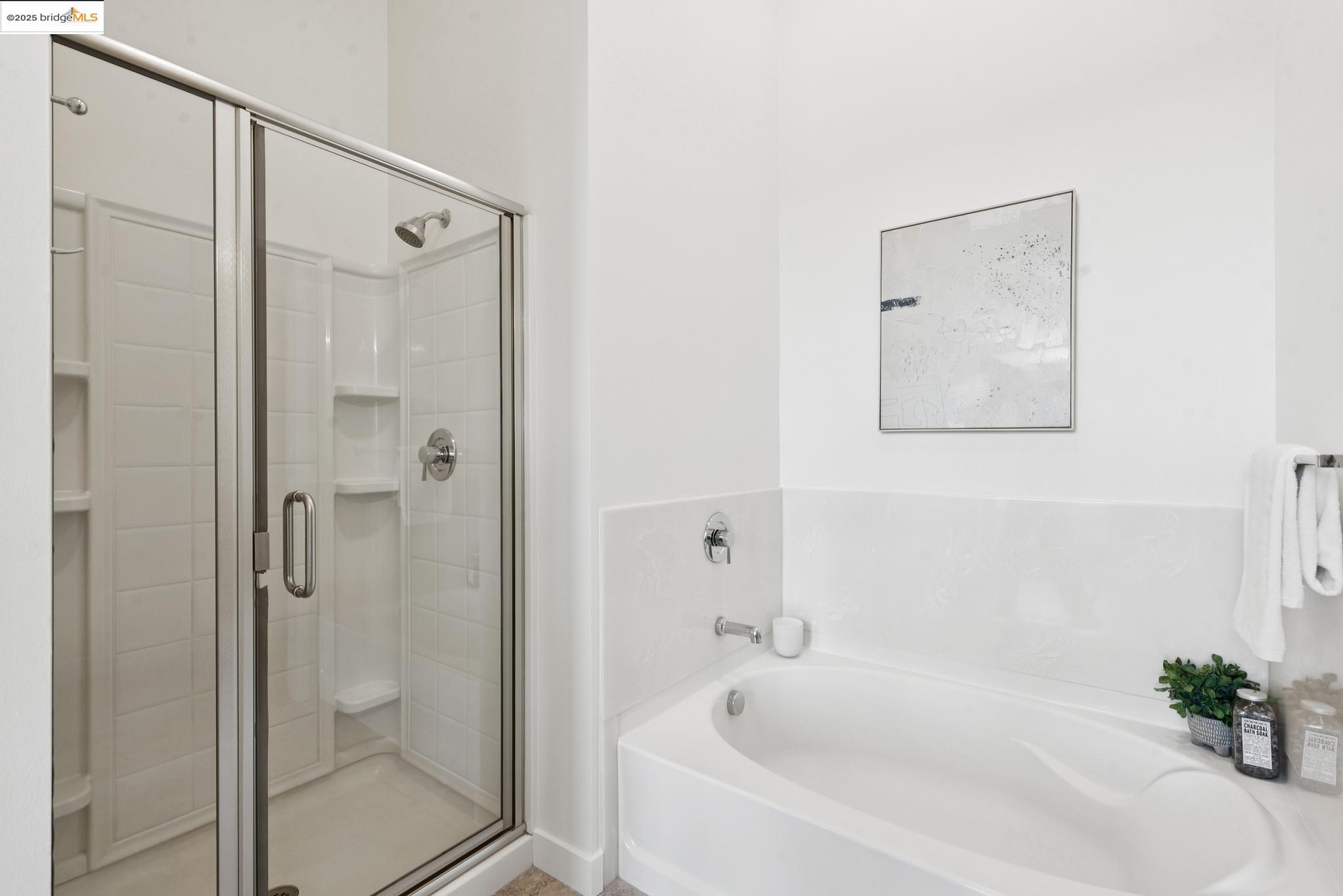 Photo #19: 41105206 Listing: Photo #19