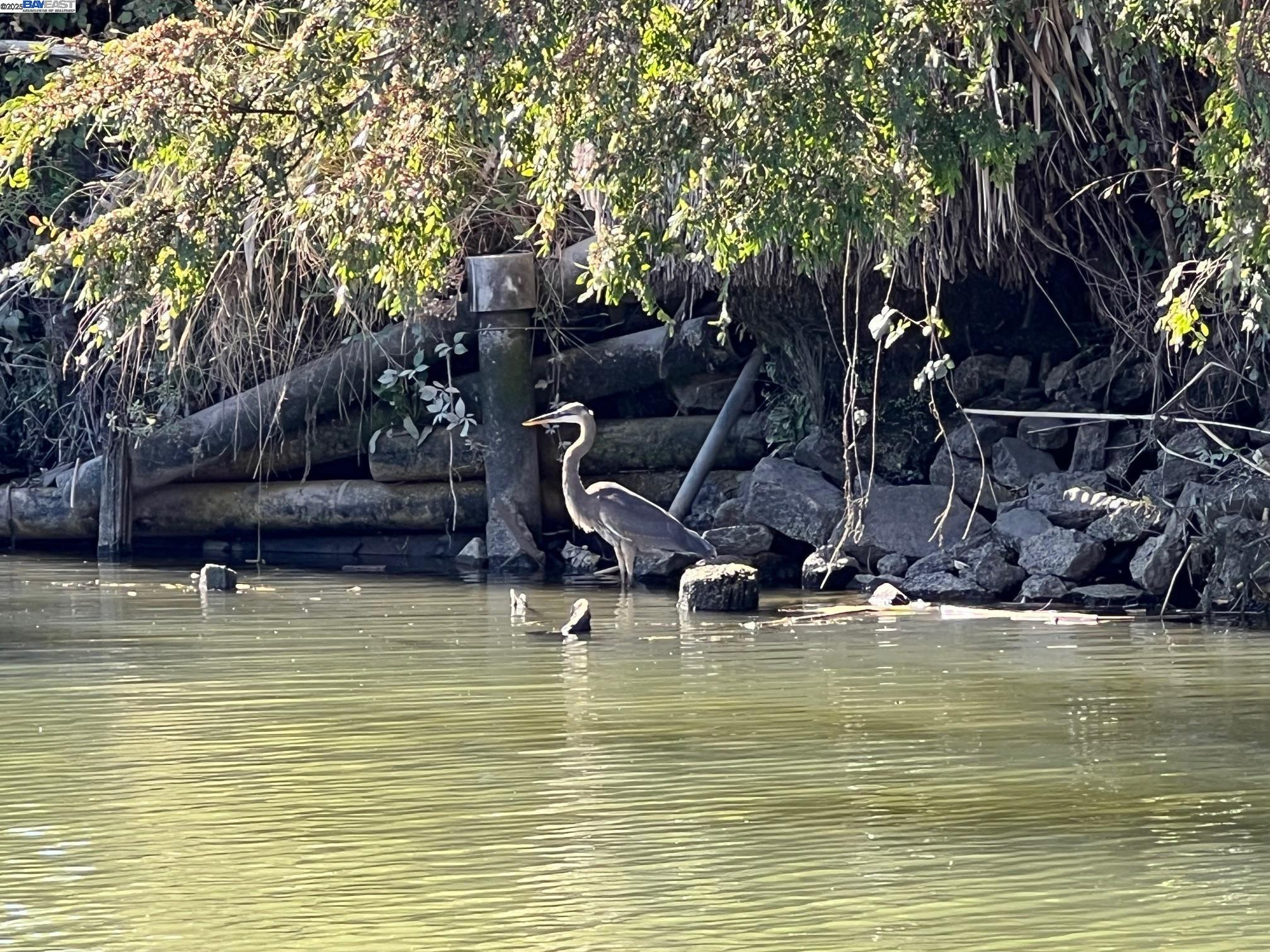 Detail Gallery Image 45 of 47 For 6020 Lindeman Rd #17,  Discovery Bay,  CA 94505 - 2 Beds | 2 Baths