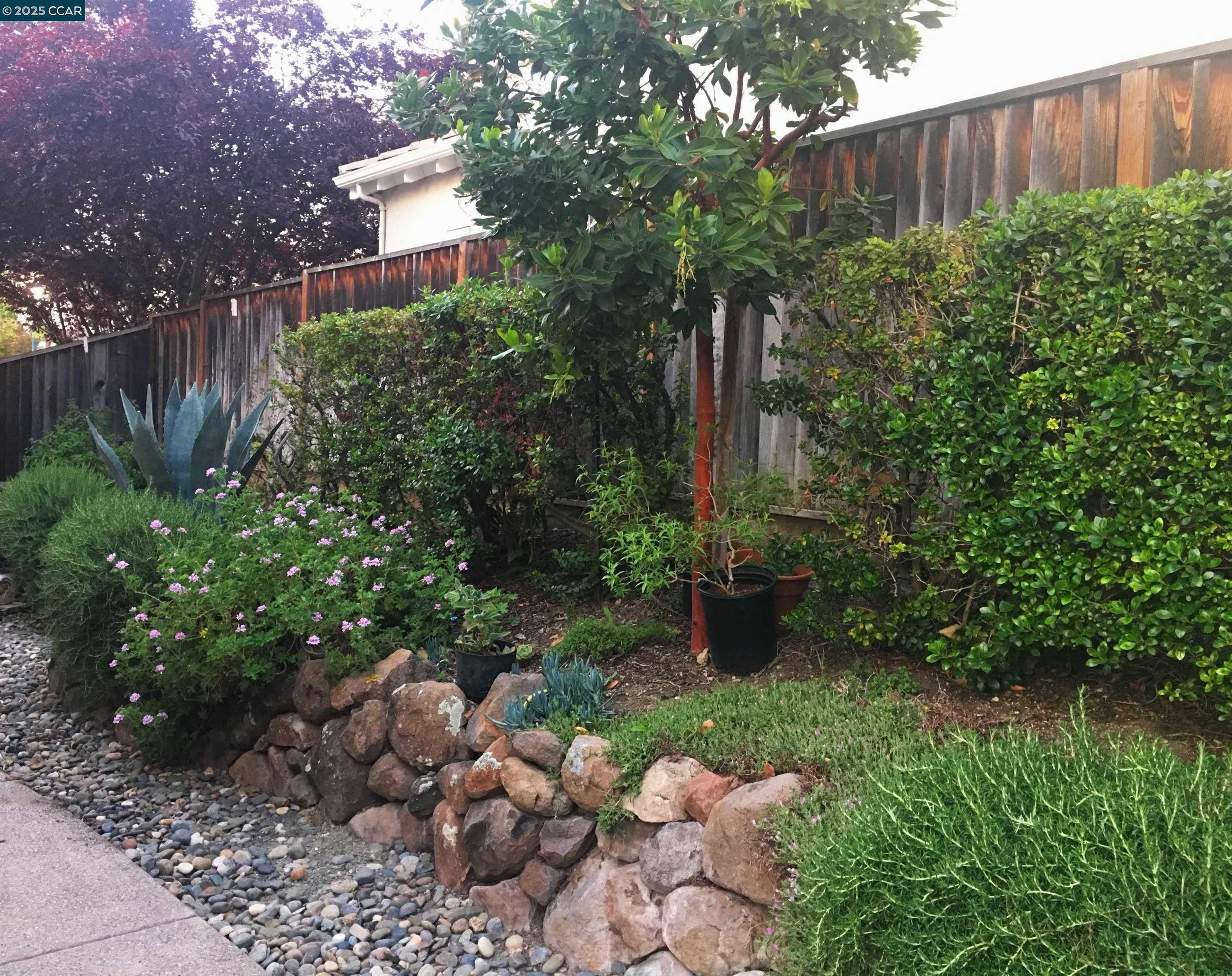 Detail Gallery Image 7 of 22 For 100 Elegans Ct, San Ramon,  CA 94582 - 3 Beds | 2 Baths