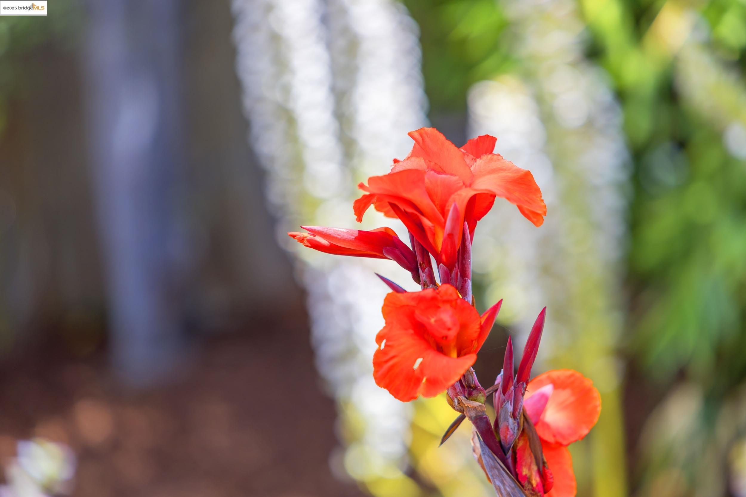 Detail Gallery Image 31 of 56 For 1409 Bonita Ave, Berkeley,  CA 94709 - 4 Beds | 2 Baths