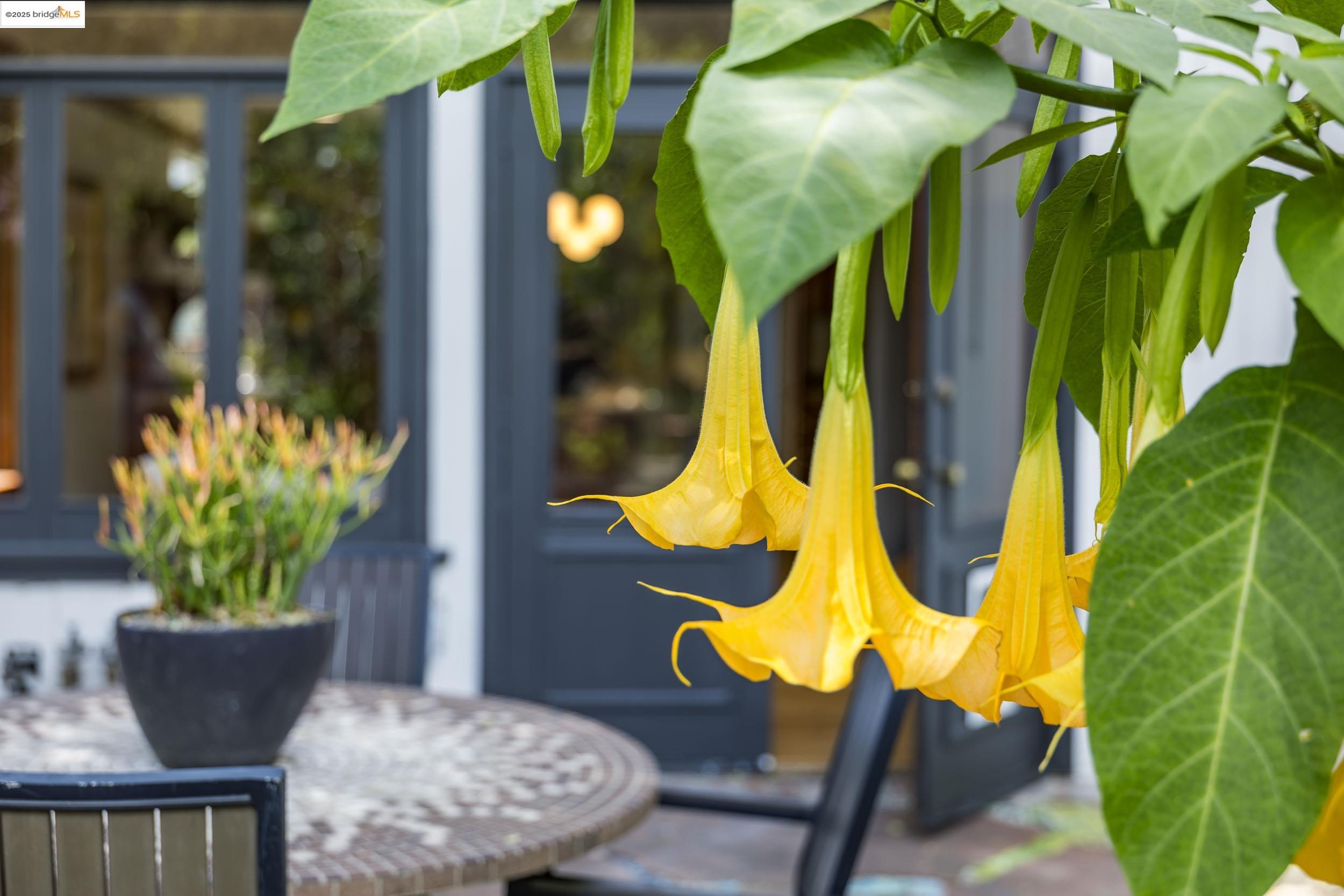 Detail Gallery Image 33 of 56 For 1409 Bonita Ave, Berkeley,  CA 94709 - 4 Beds | 2 Baths