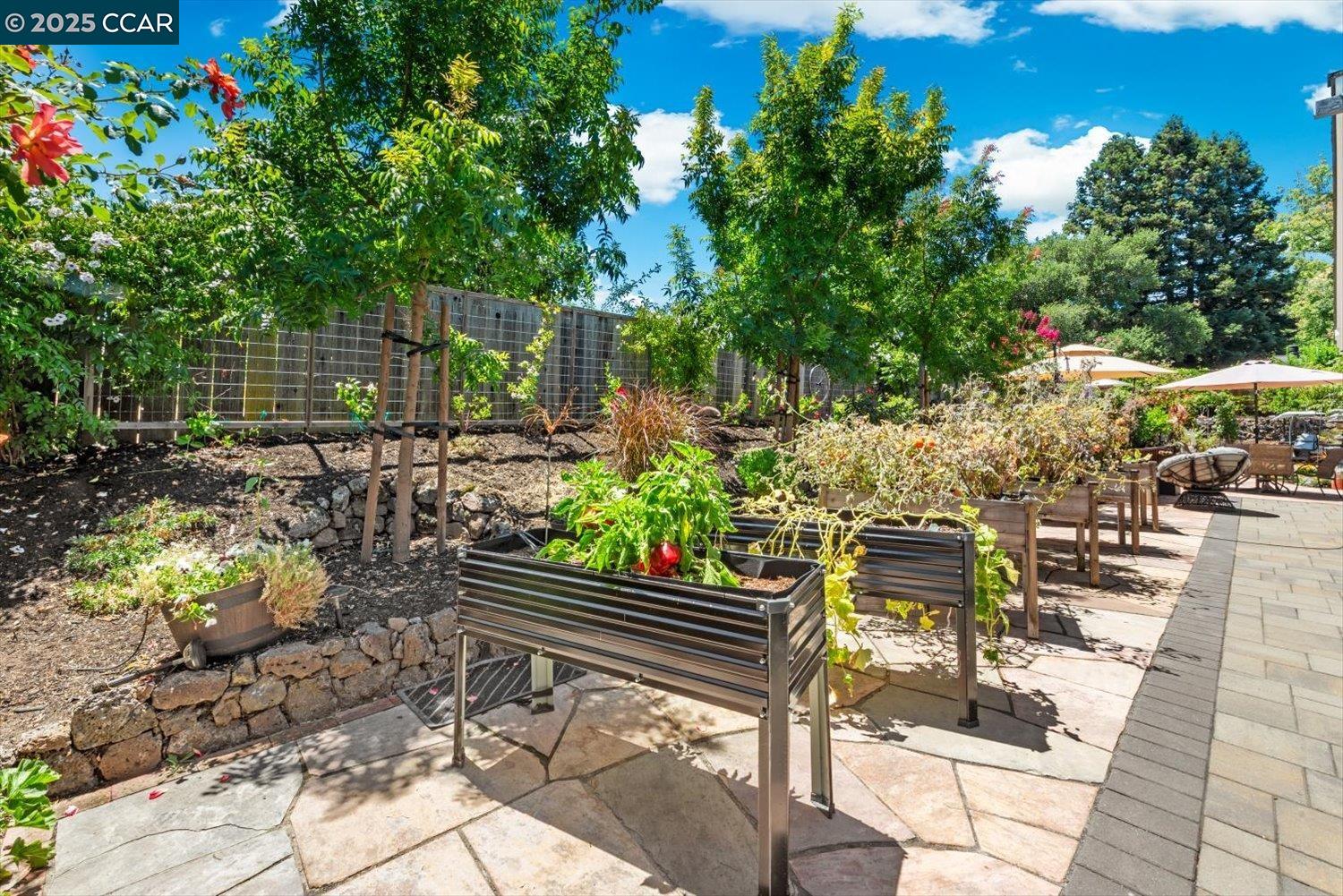 Detail Gallery Image 42 of 60 For 3121 Del Oceano Dr, Lafayette,  CA 94549 - 3 Beds | 2 Baths