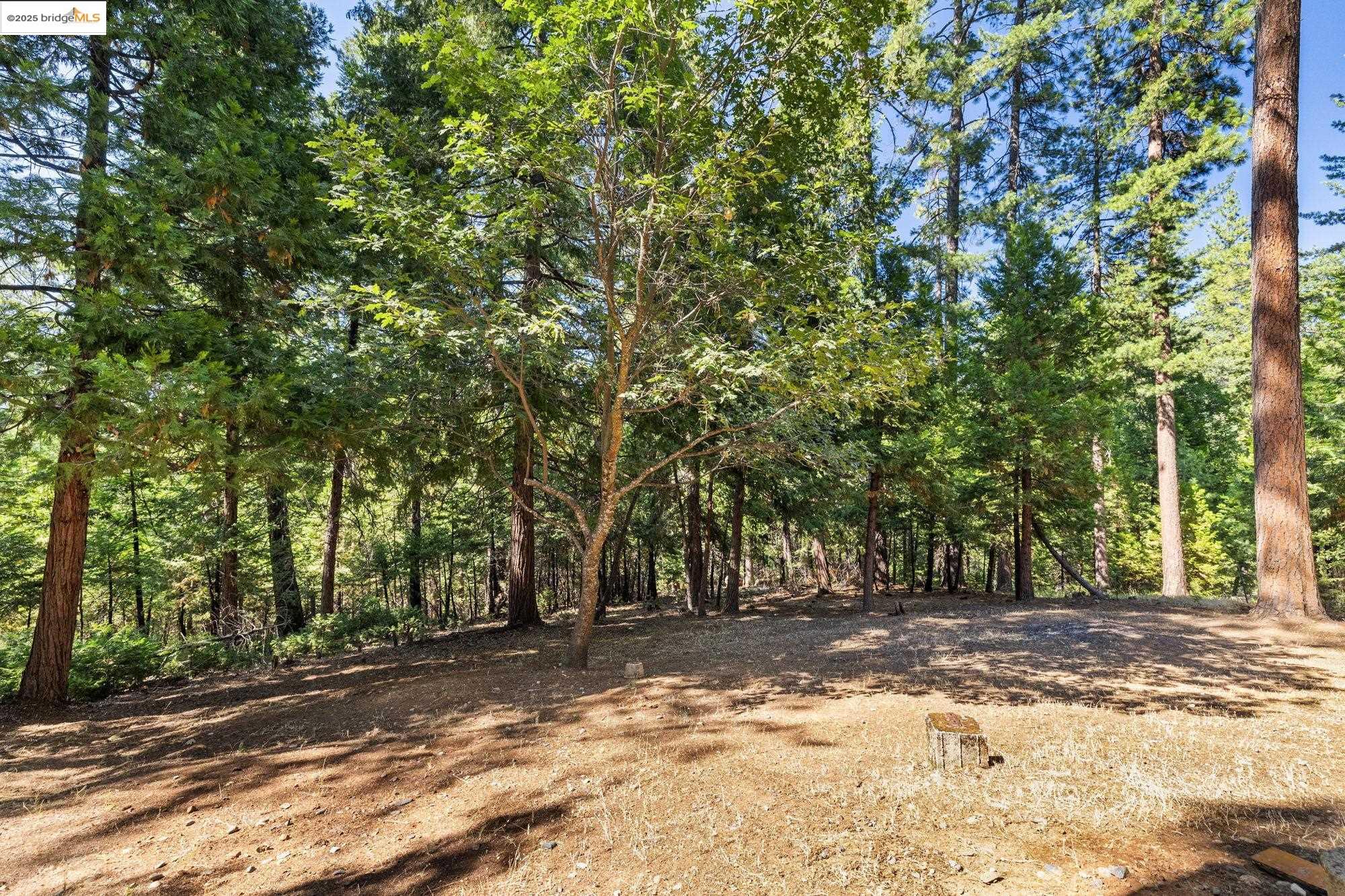 Detail Gallery Image 34 of 35 For 24214 N Oxbow Lane, Sonora,  CA 95370 - 3 Beds | 3 Baths