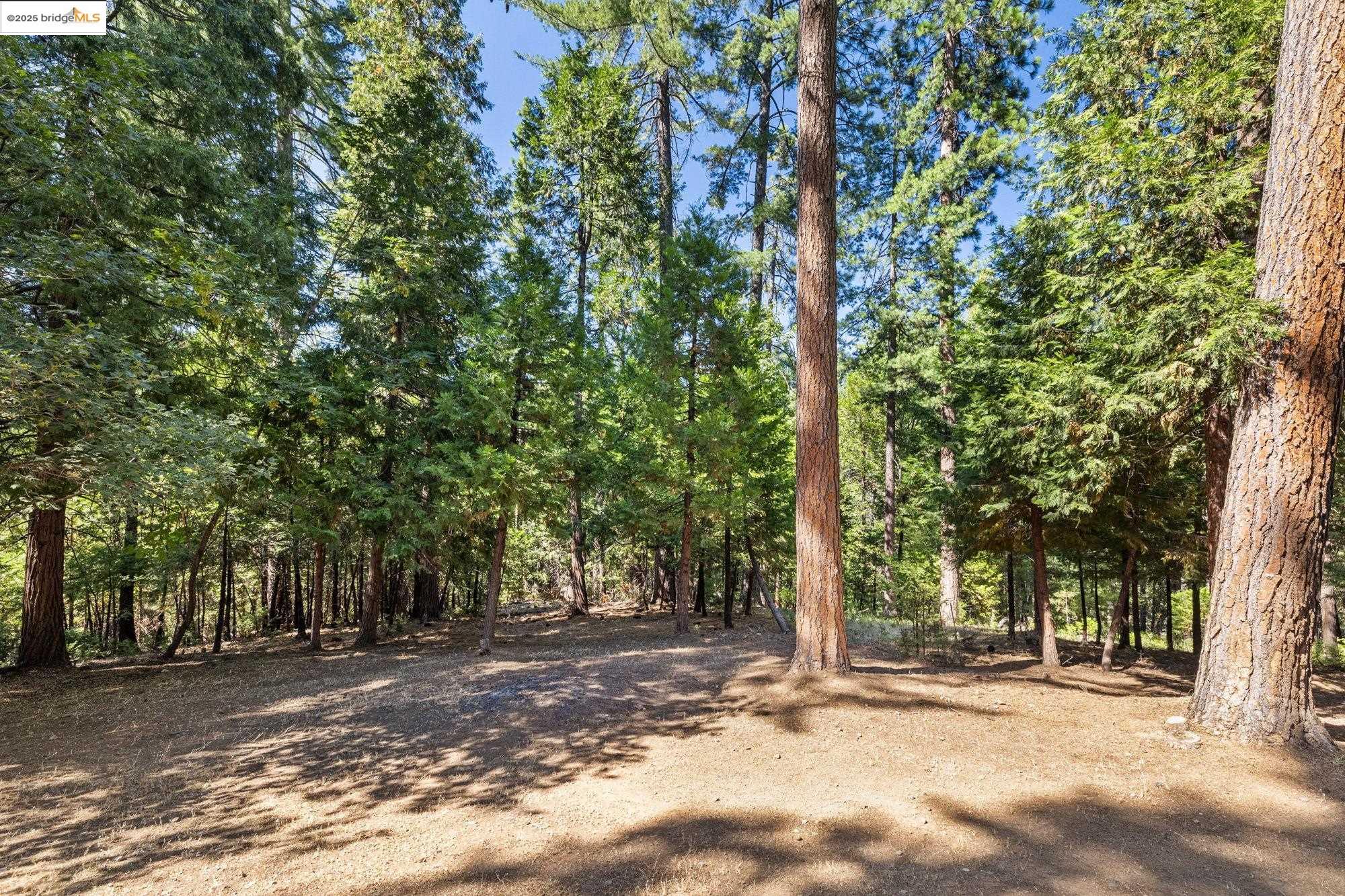 Detail Gallery Image 35 of 35 For 24214 N Oxbow Lane, Sonora,  CA 95370 - 3 Beds | 3 Baths