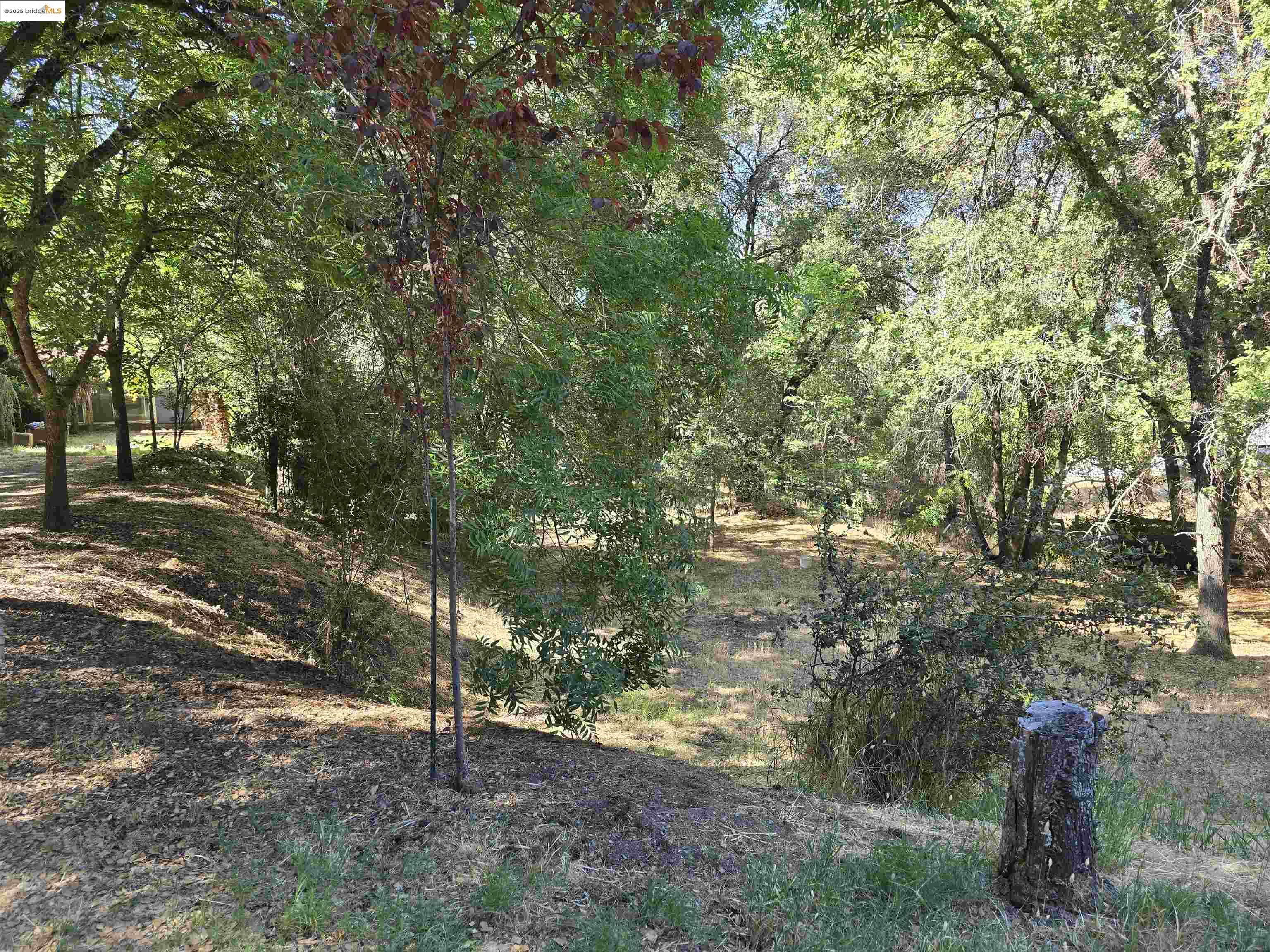14405 Expedition Drive, Sonora, California 95370, 3 Bedrooms Bedrooms, 2 Rooms Rooms,2 BathroomsBathrooms,Residential,For Sale,14405 Expedition Drive,41105298