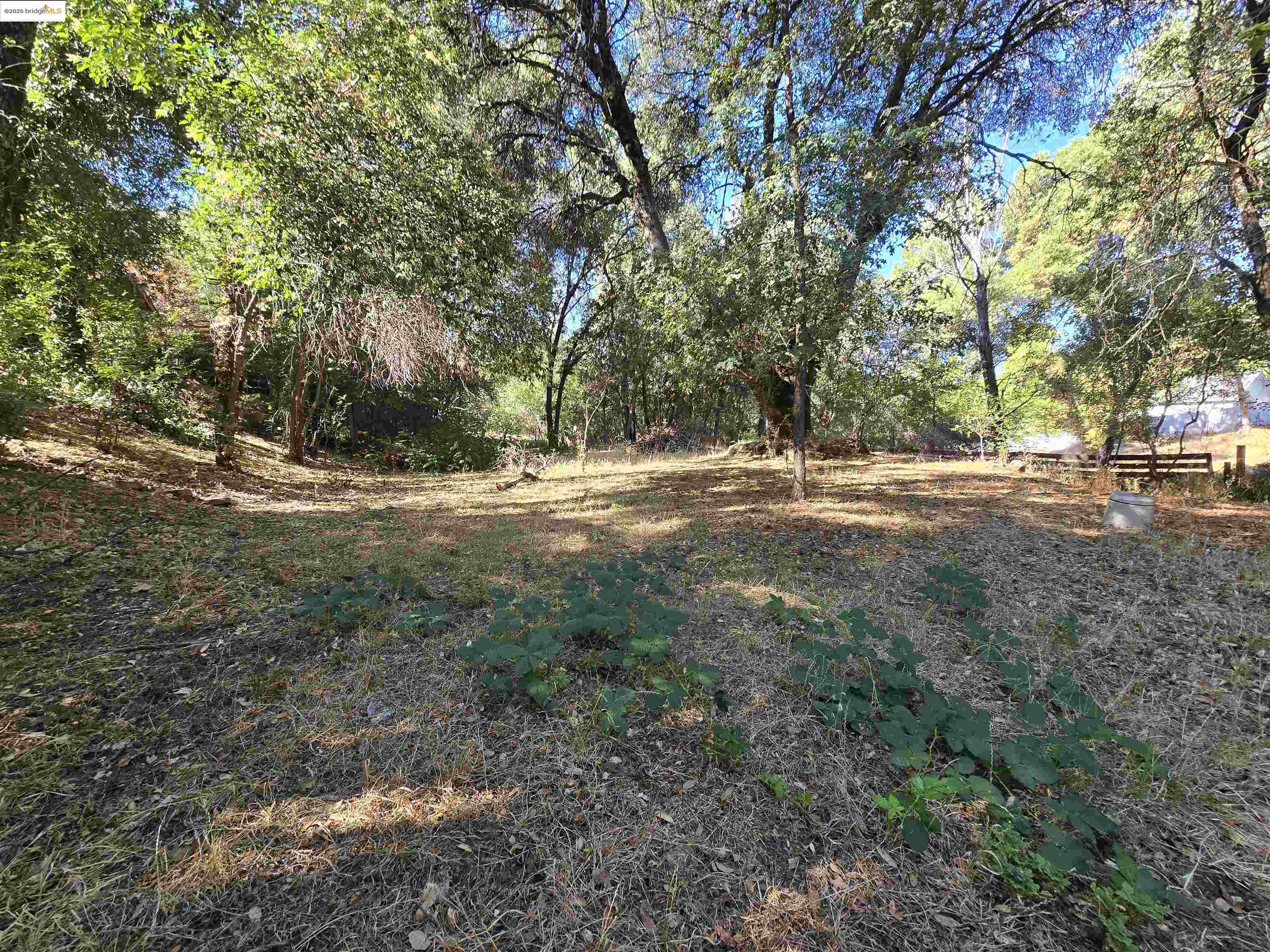 14405 Expedition Drive, Sonora, California 95370, 3 Bedrooms Bedrooms, 2 Rooms Rooms,2 BathroomsBathrooms,Residential,For Sale,14405 Expedition Drive,41105298