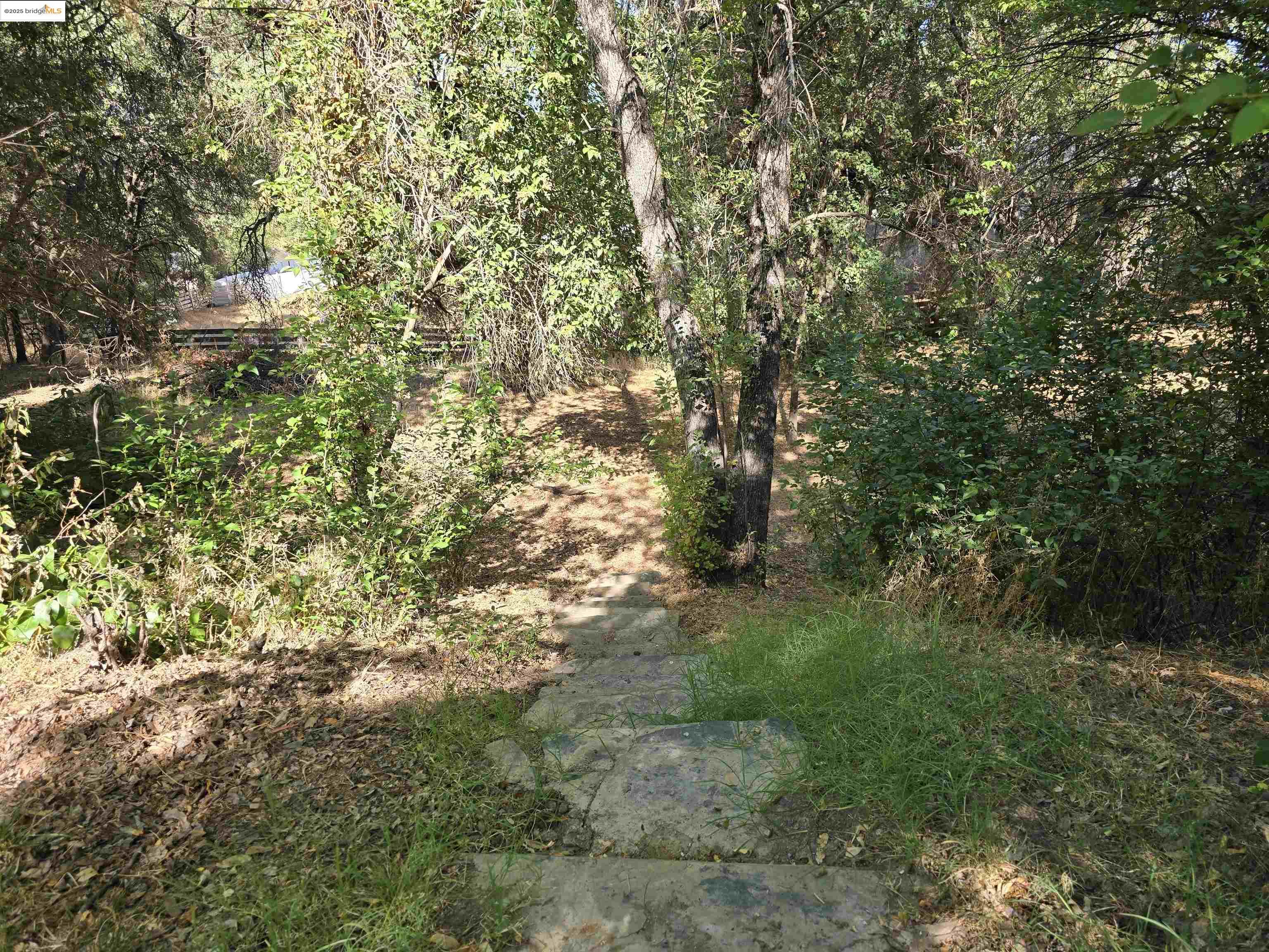14405 Expedition Drive, Sonora, California 95370, 3 Bedrooms Bedrooms, 2 Rooms Rooms,2 BathroomsBathrooms,Residential,For Sale,14405 Expedition Drive,41105298