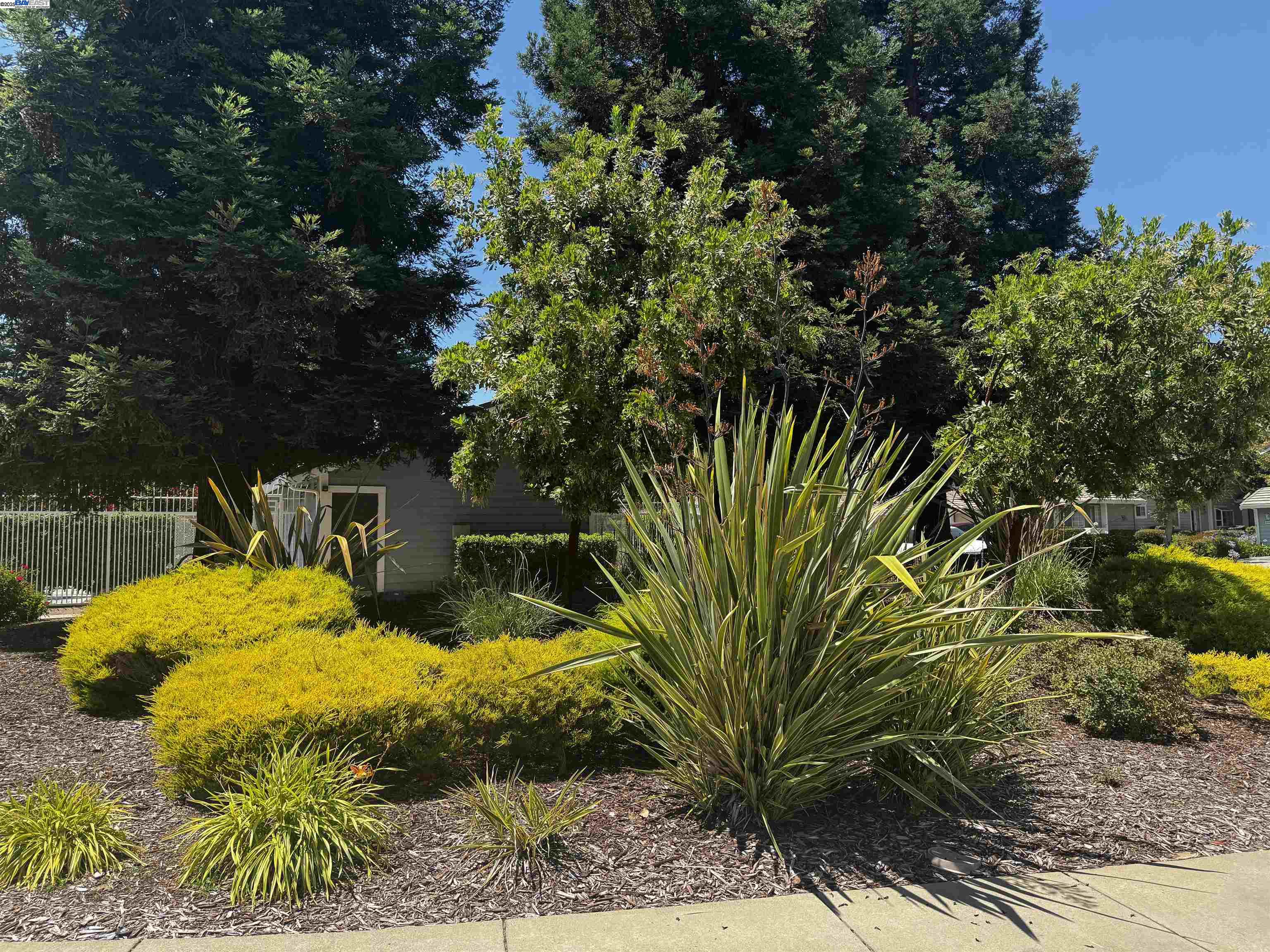 Detail Gallery Image 31 of 42 For 385 Kensington Cmn, Livermore,  CA 94551 - 3 Beds | 2/1 Baths
