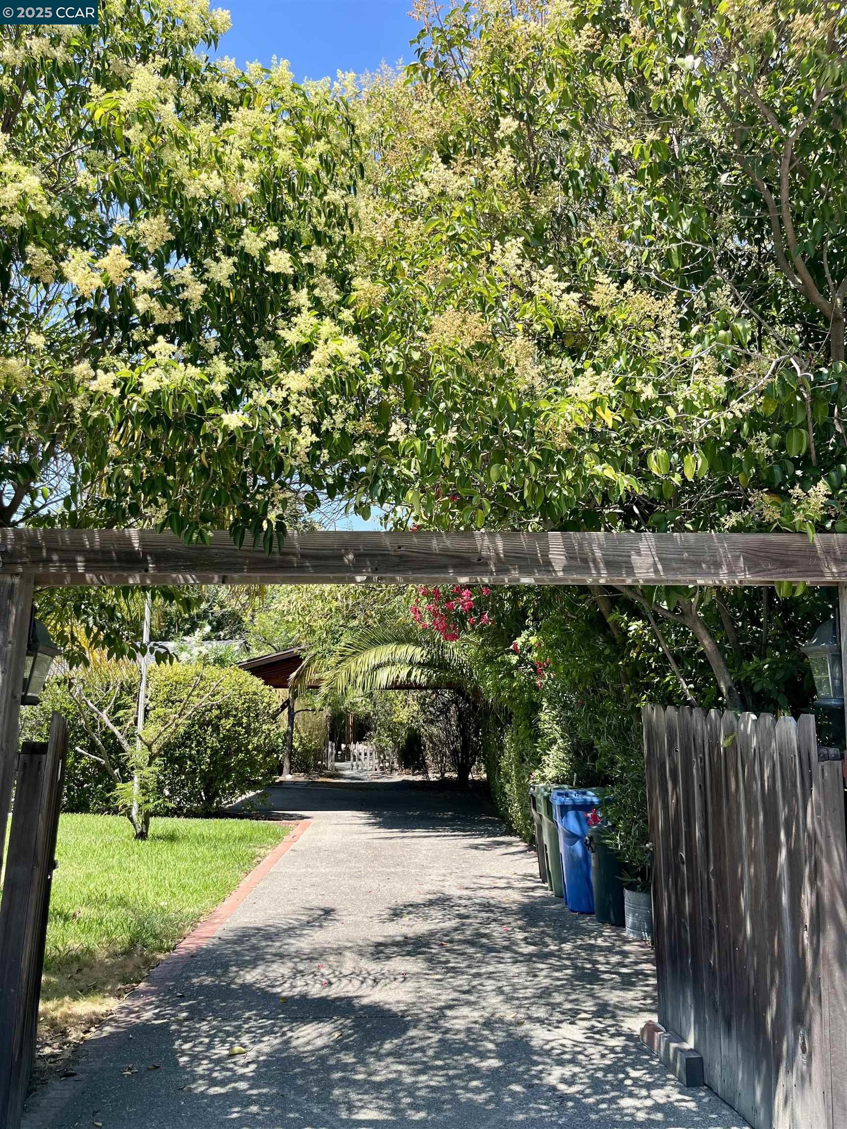 188 Pioneer Ave, Walnut Creek, California 94597, 1 Bedroom Bedrooms, 4 Rooms Rooms,1 BathroomBathrooms,Residential Lease,For Rent,188 Pioneer Ave,41105304