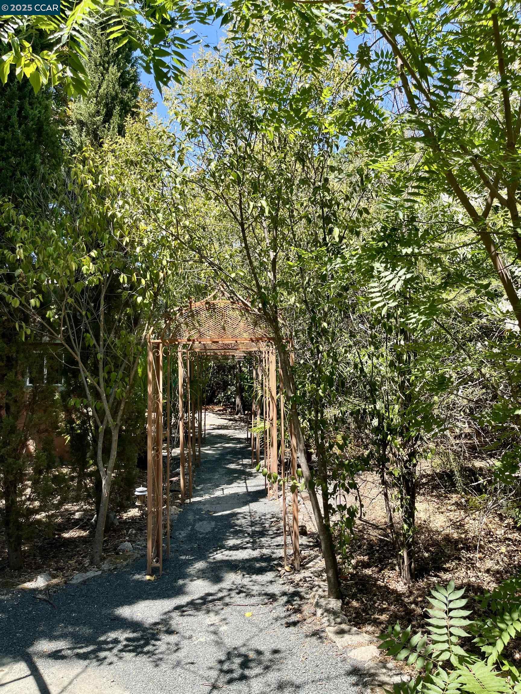 188 Pioneer Ave, Walnut Creek, California 94597, 1 Bedroom Bedrooms, 4 Rooms Rooms,1 BathroomBathrooms,Residential Lease,For Rent,188 Pioneer Ave,41105304