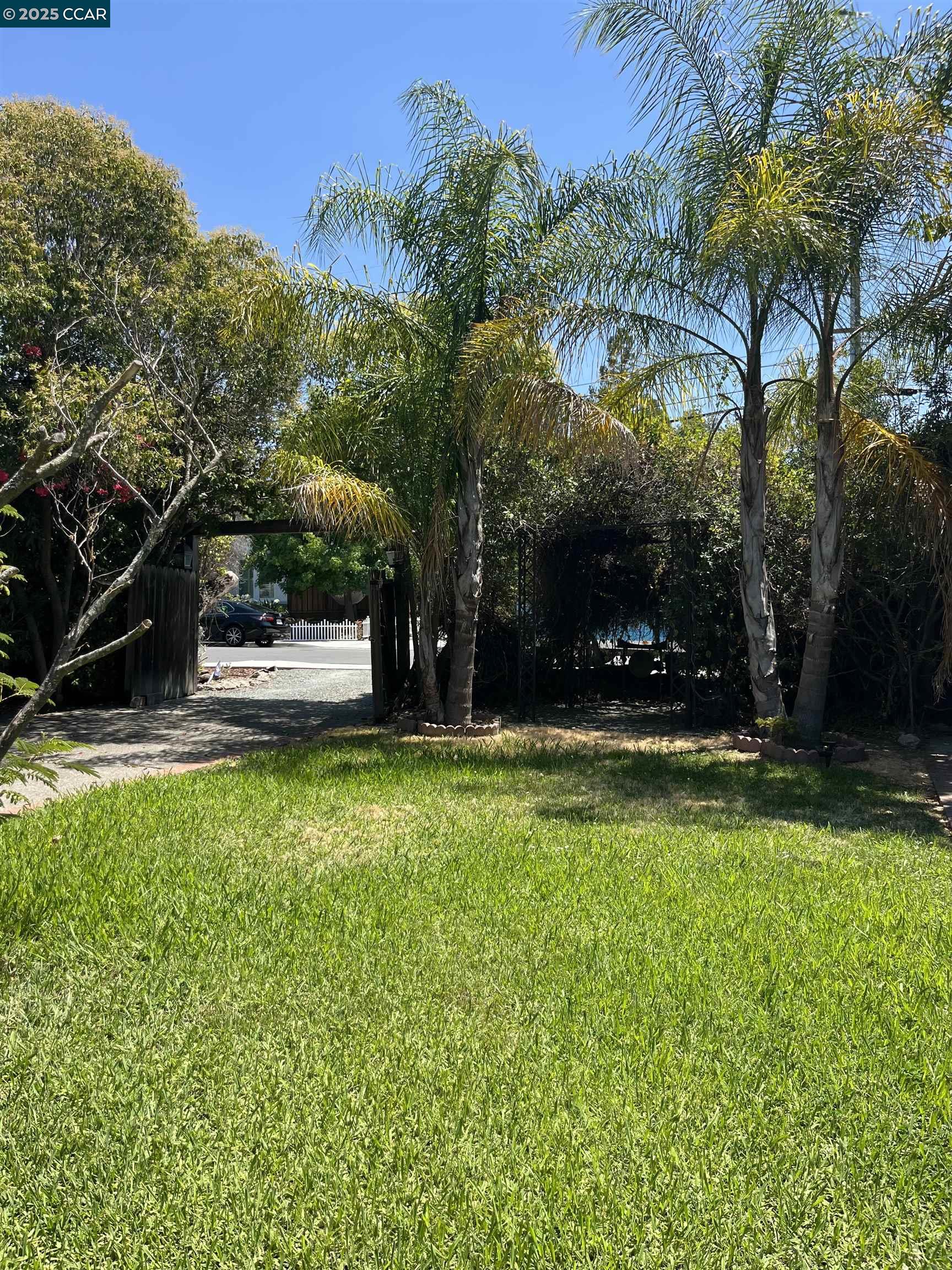 188 Pioneer Ave, Walnut Creek, California 94597, 1 Bedroom Bedrooms, 4 Rooms Rooms,1 BathroomBathrooms,Residential Lease,For Rent,188 Pioneer Ave,41105304