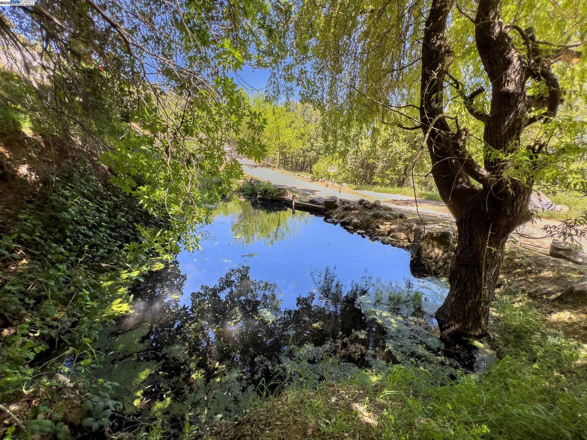 3698 Braden Road, Camino, California 95709, 3 Bedrooms Bedrooms, 7 Rooms Rooms,2 BathroomsBathrooms,Residential,For Sale,3698 Braden Road,41105323