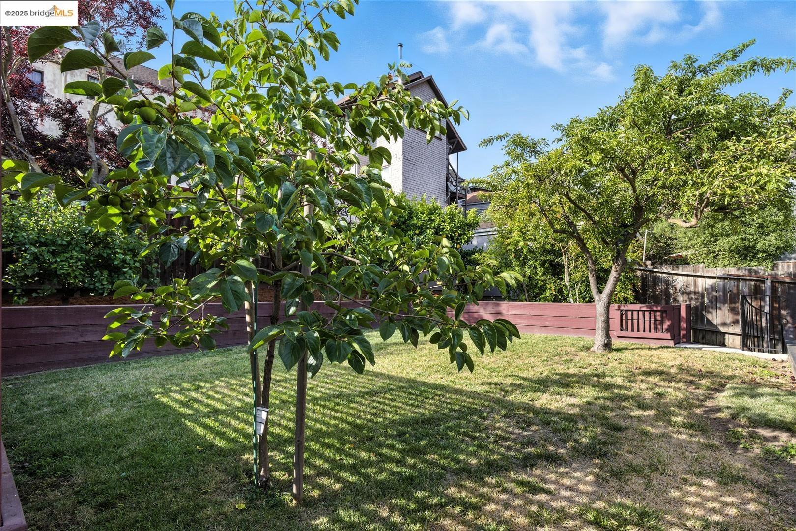 Detail Gallery Image 40 of 57 For 61 Wildwood Ave, Piedmont,  CA 94610 - 6 Beds | 4/1 Baths