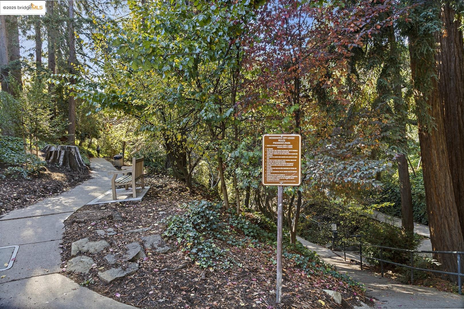 Detail Gallery Image 53 of 57 For 61 Wildwood Ave, Piedmont,  CA 94610 - 6 Beds | 4/1 Baths
