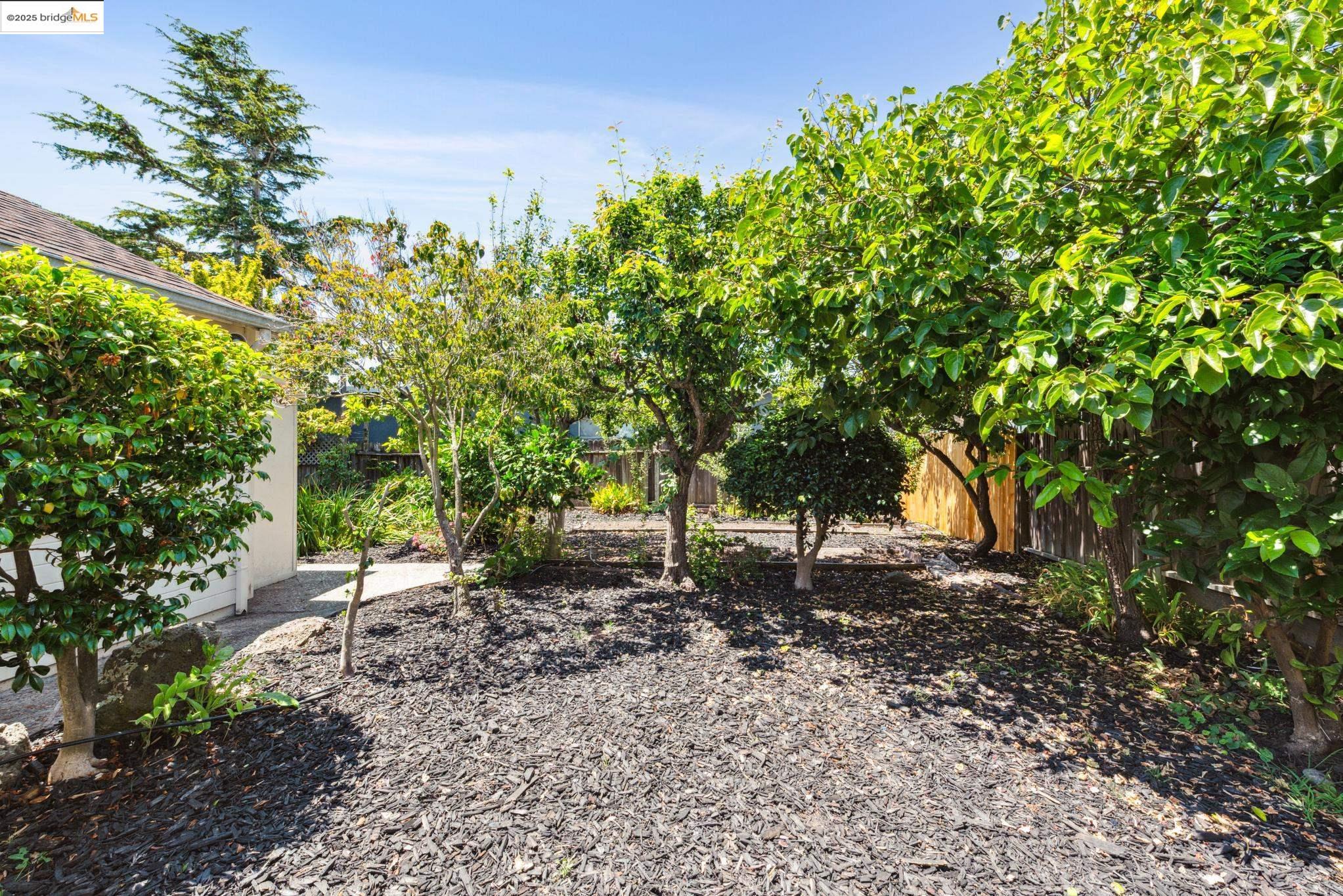 Detail Gallery Image 44 of 57 For 2416 Valley St, Berkeley,  CA 94702 - 2 Beds | 1 Baths