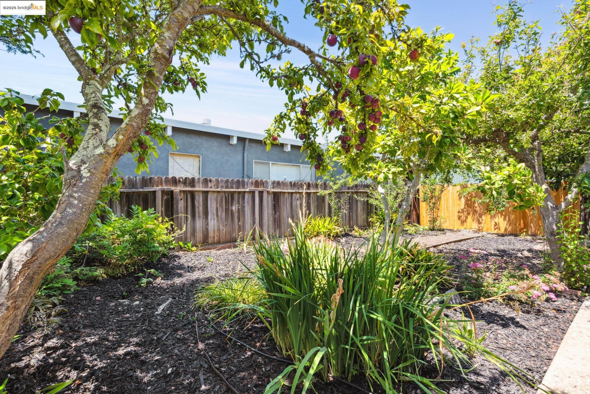 Detail Gallery Image 46 of 57 For 2416 Valley St, Berkeley,  CA 94702 - 2 Beds | 1 Baths
