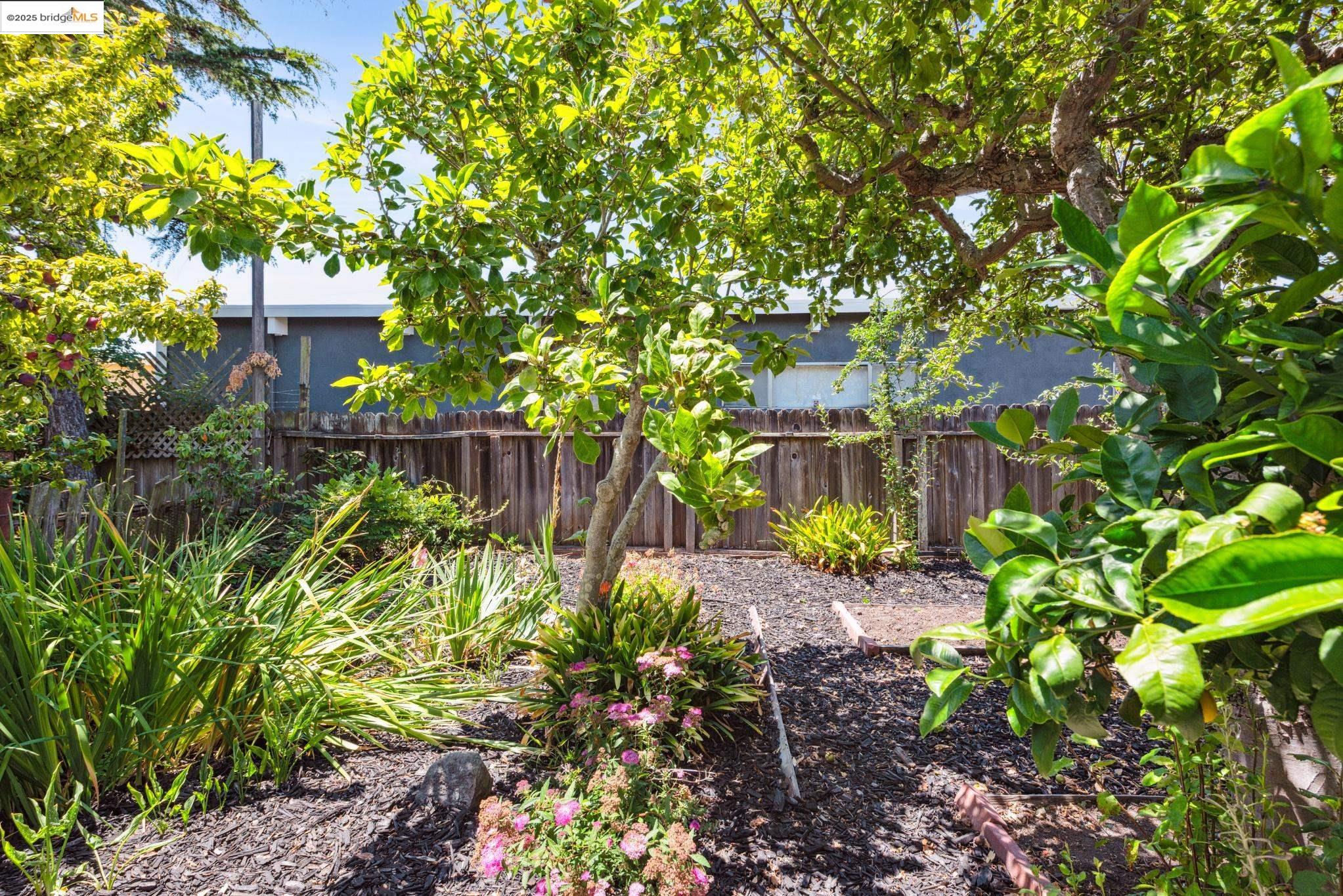 Detail Gallery Image 47 of 57 For 2416 Valley St, Berkeley,  CA 94702 - 2 Beds | 1 Baths