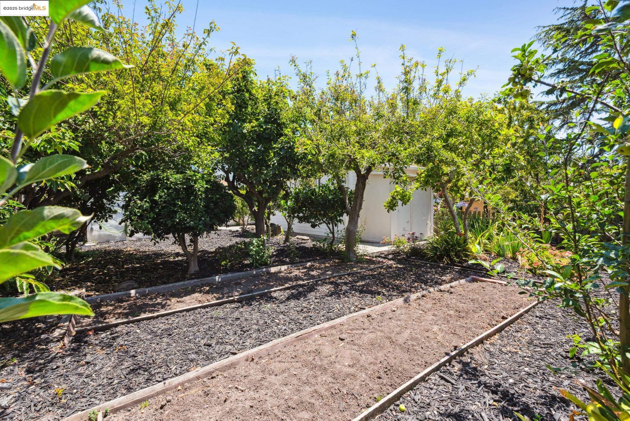 Detail Gallery Image 50 of 57 For 2416 Valley St, Berkeley,  CA 94702 - 2 Beds | 1 Baths