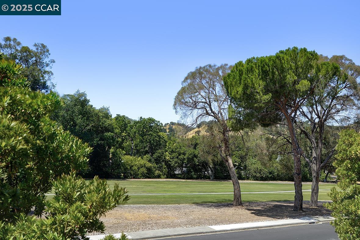 Photo #3: 41105370 Listing 