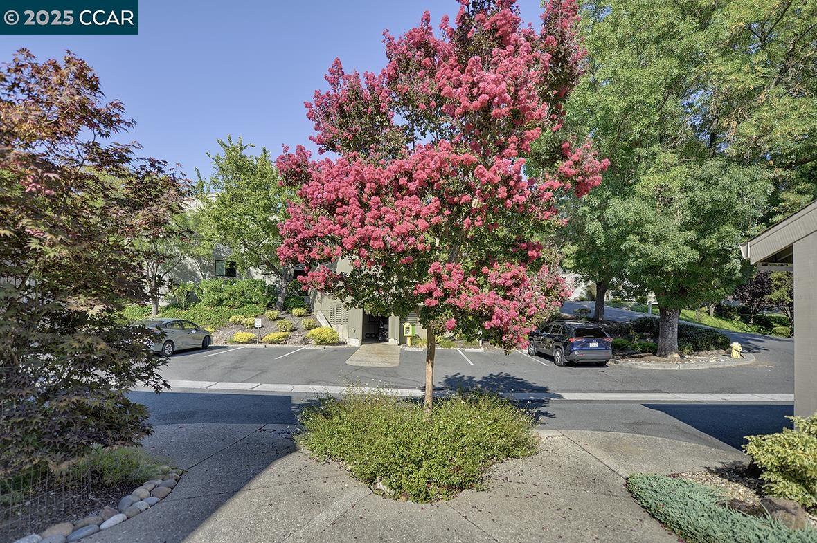 Detail Gallery Image 31 of 45 For 600 Terra California Dr #4,  Walnut Creek,  CA 94595 - 2 Beds | 2 Baths