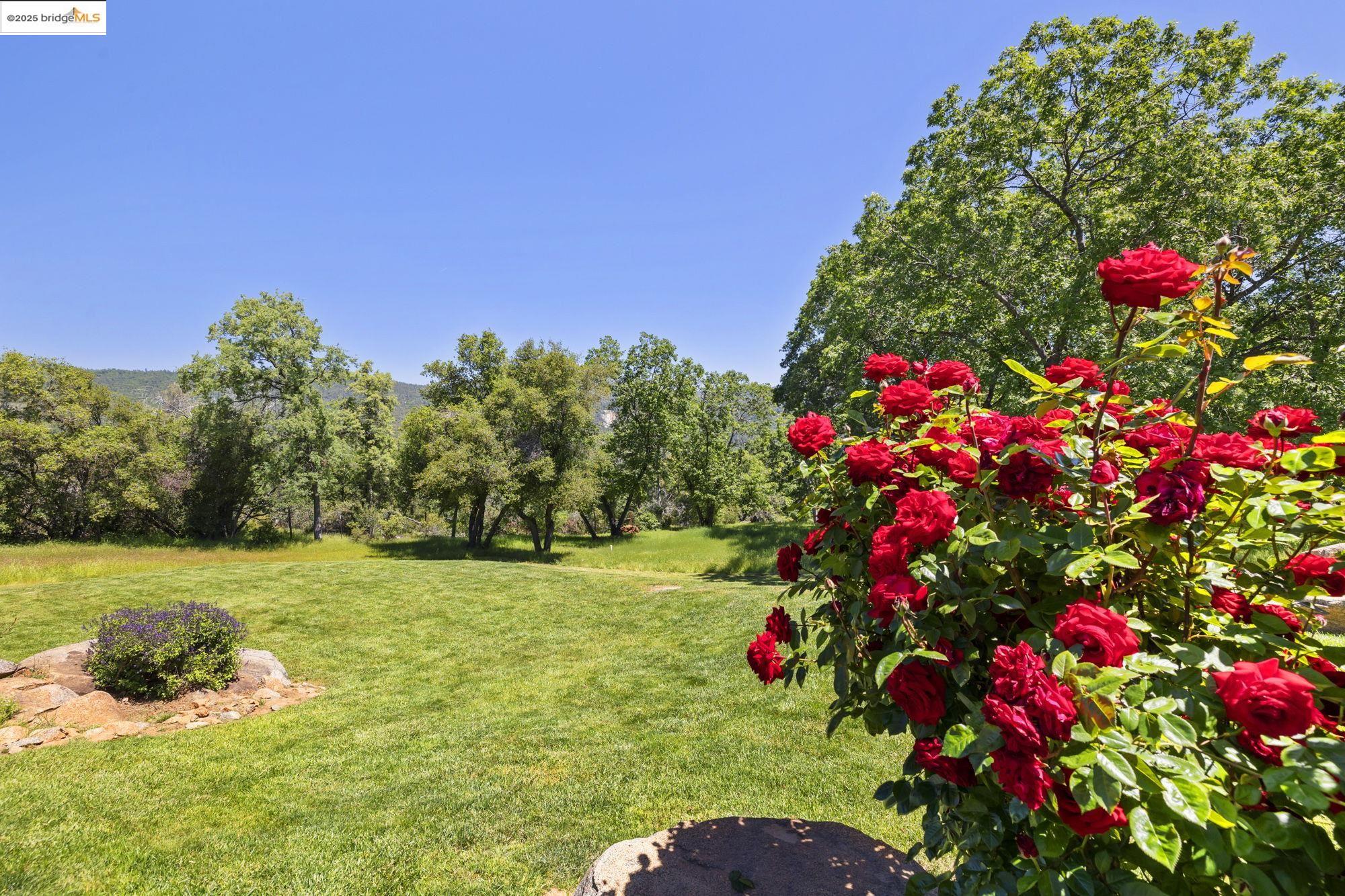 Detail Gallery Image 38 of 55 For 16280 Stine Ct., Sonora,  CA 95370 - 3 Beds | 2/1 Baths
