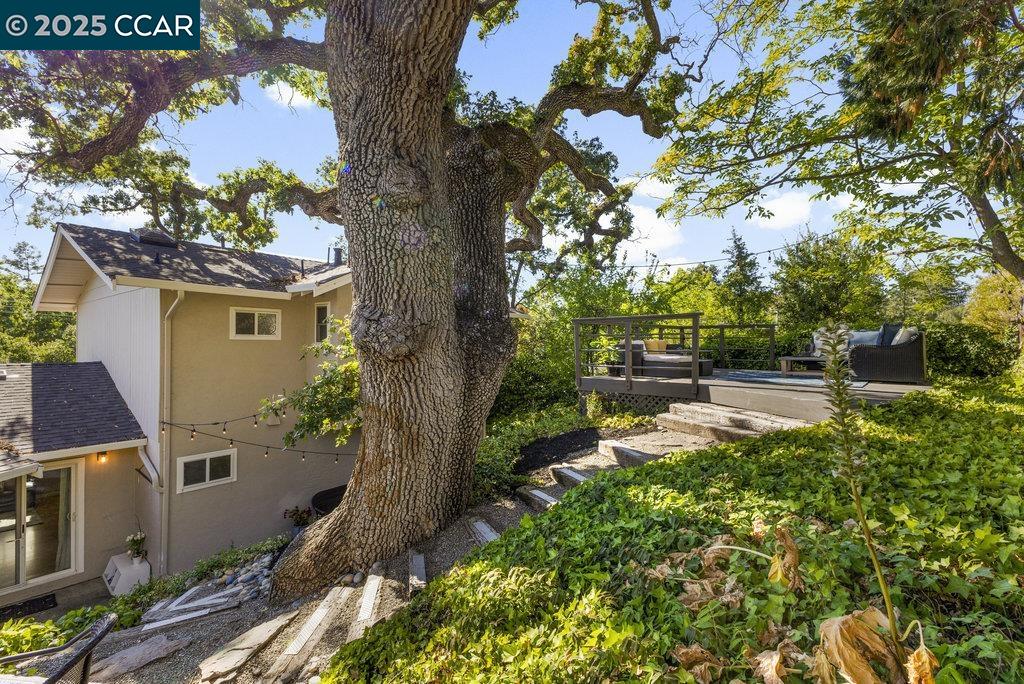 Detail Gallery Image 43 of 49 For 1666 Green Valley, Danville,  CA 94526 - 3 Beds | 2/1 Baths
